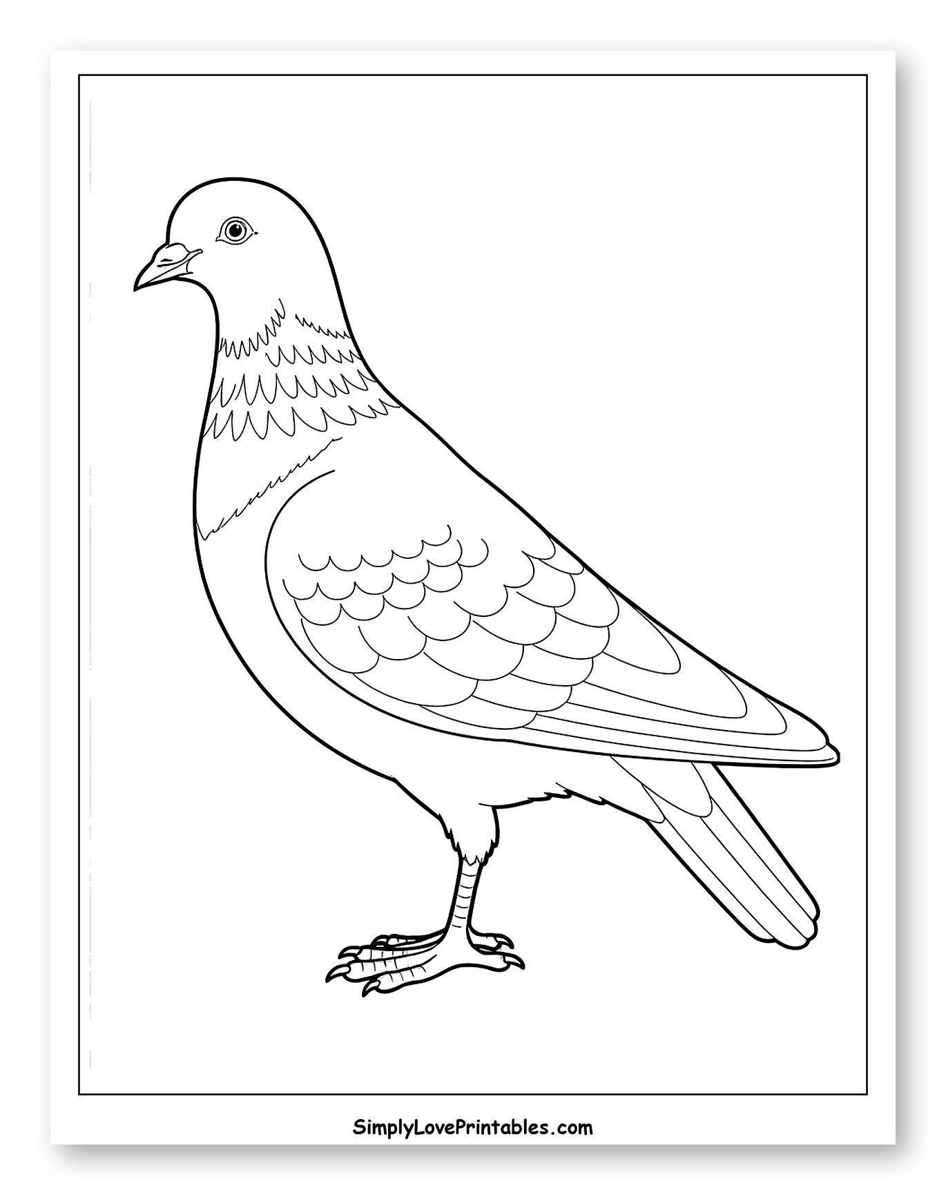 Detailed Outline of a Standing Pigeon Coloring Sheet for Toddlers