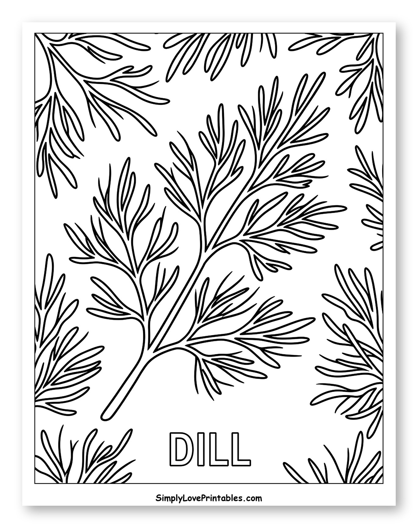 Dill Herb Sprigs Pattern Coloring Page for Toddlers