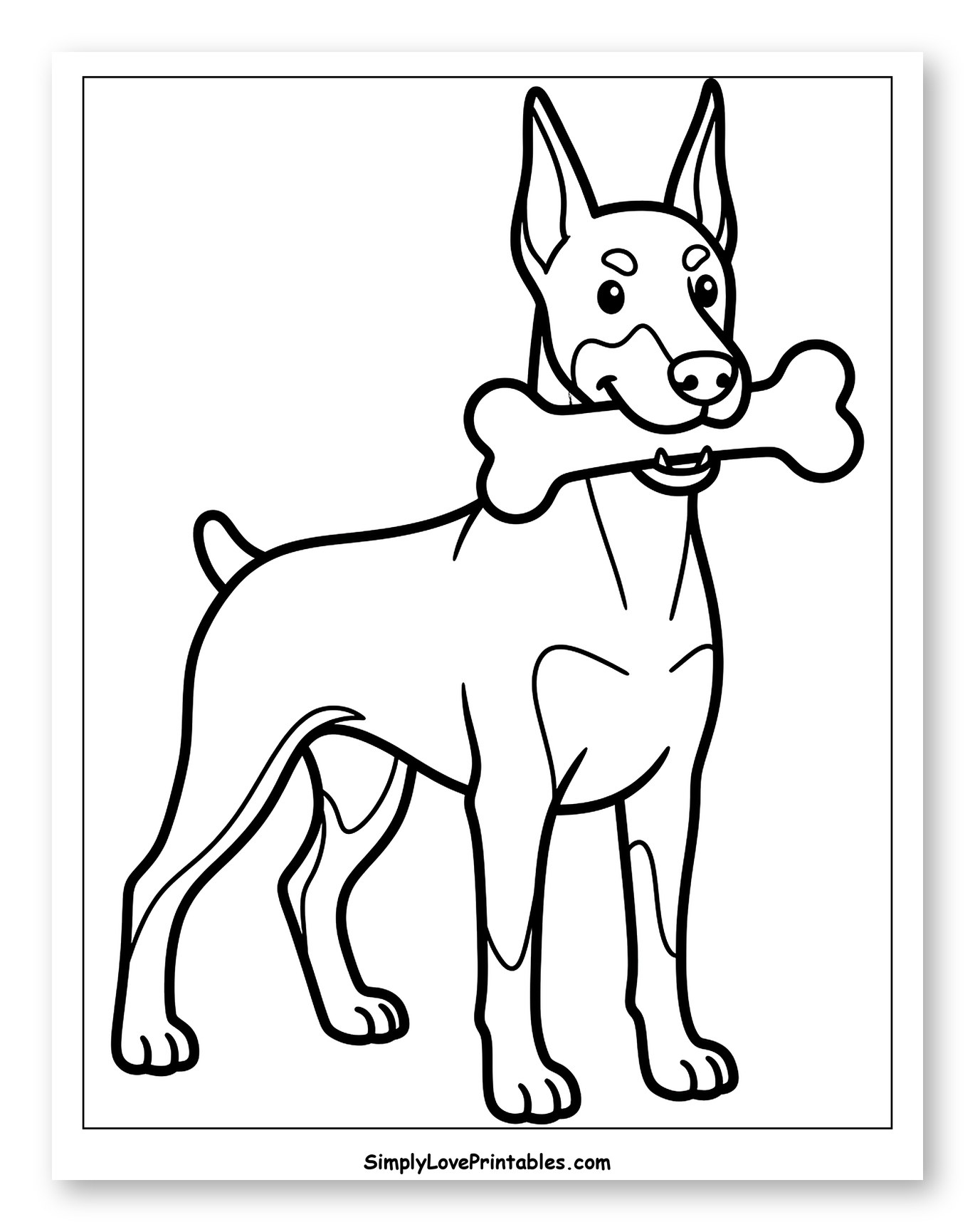 Doberman Dog Holding a Bone