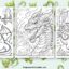 Dragon coloring pages featured image