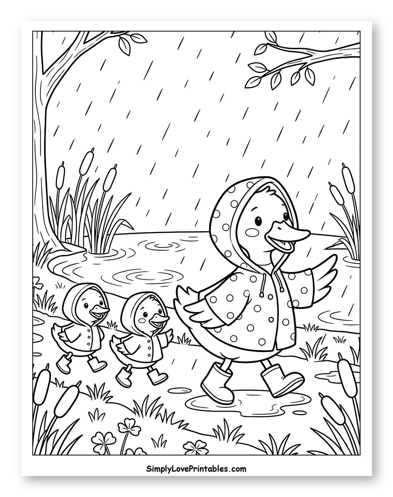 Ducks in Raincoats Walking in the Rain