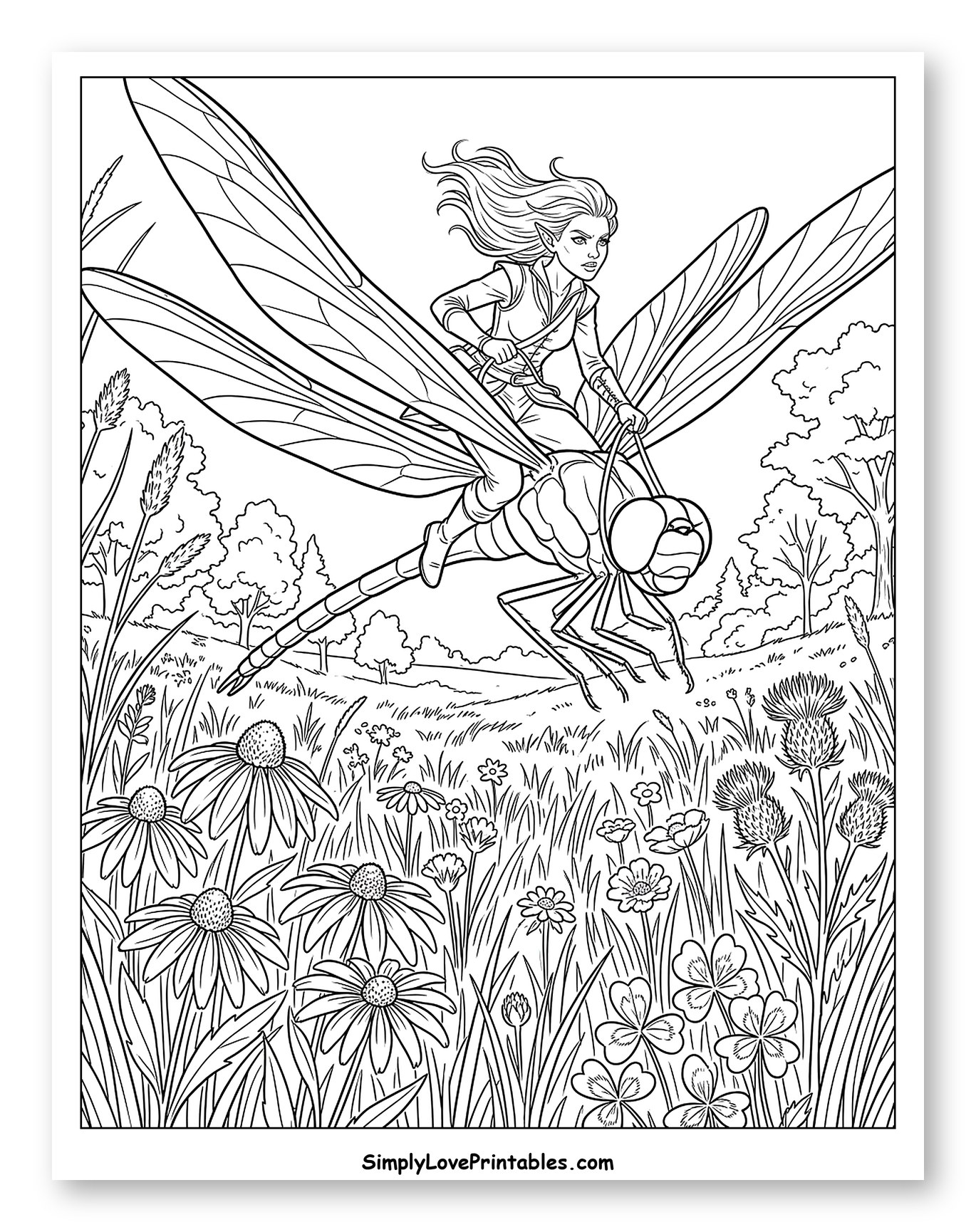 Fantasy Elf Riding Dragonfly Over Meadow to Color