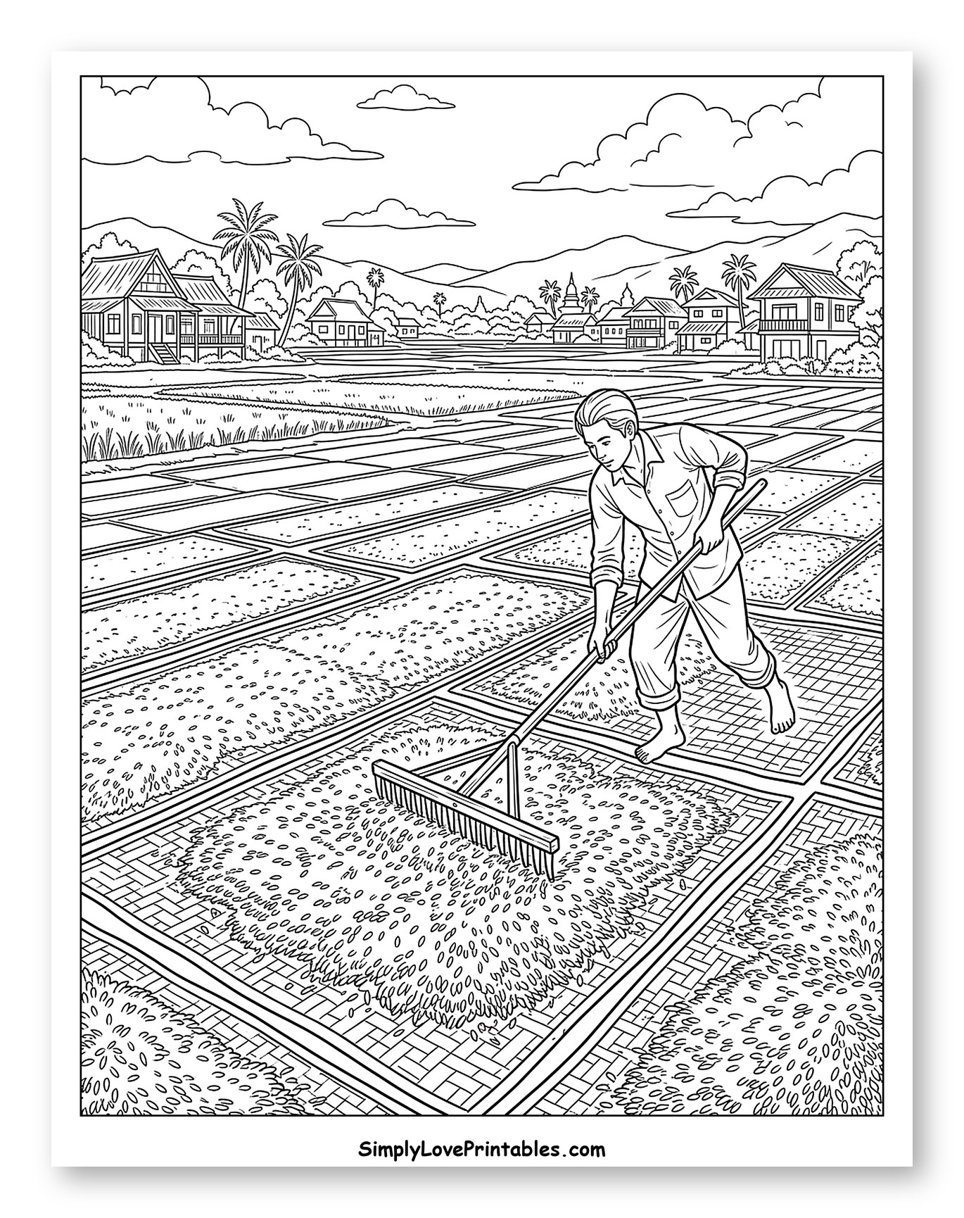 Farmer Drying Rice in Village Fields