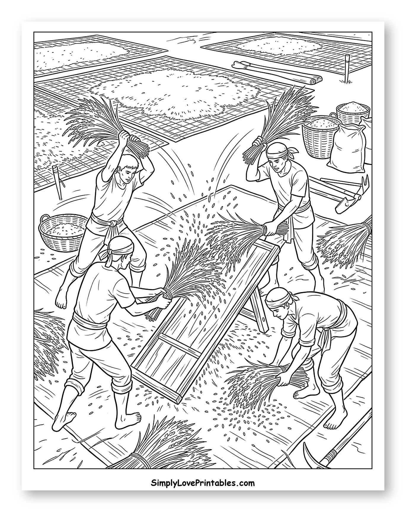 Farmers Threshing Rice Grains