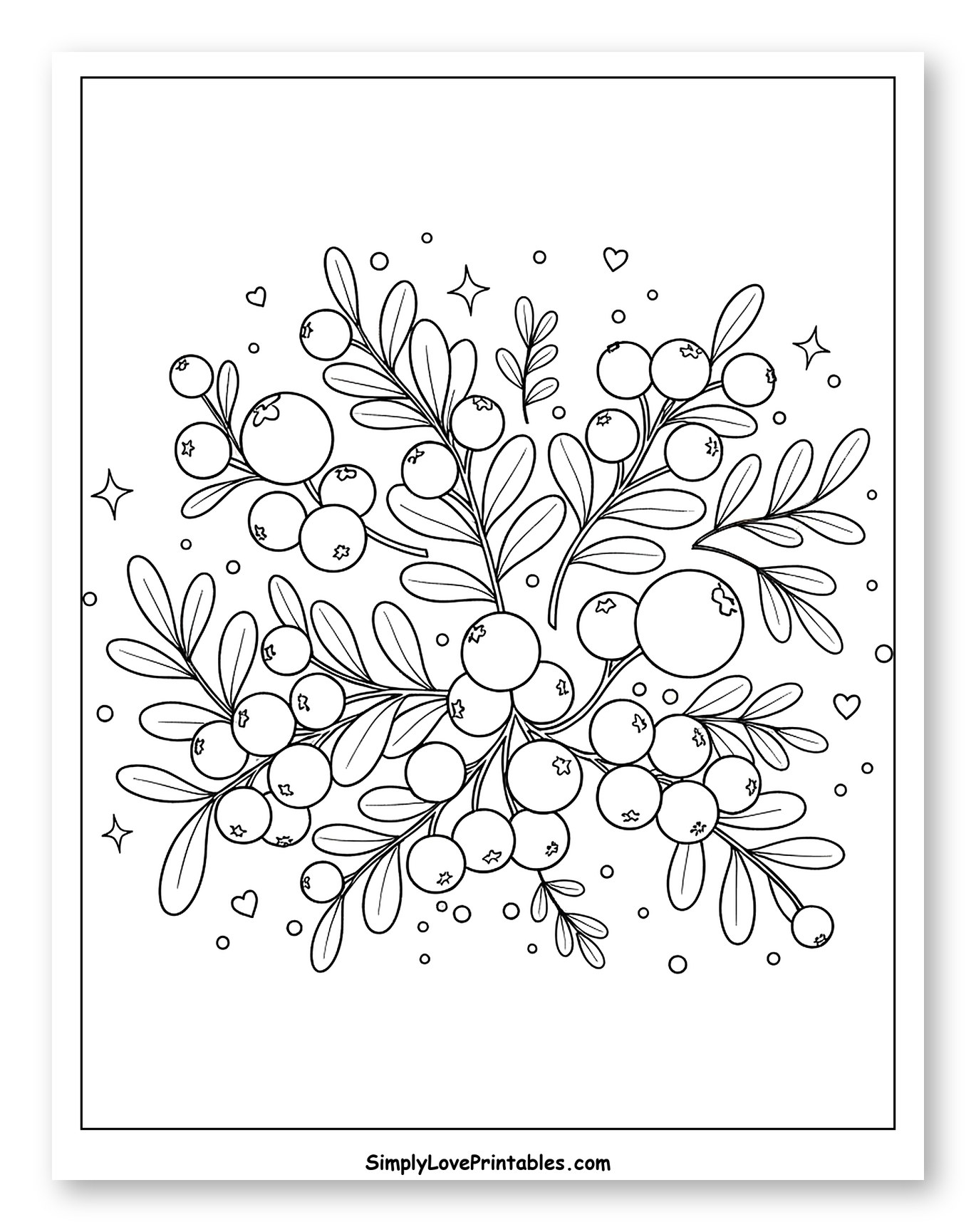 Festive Berry Branches with Twinkling Stars to Color for Adults