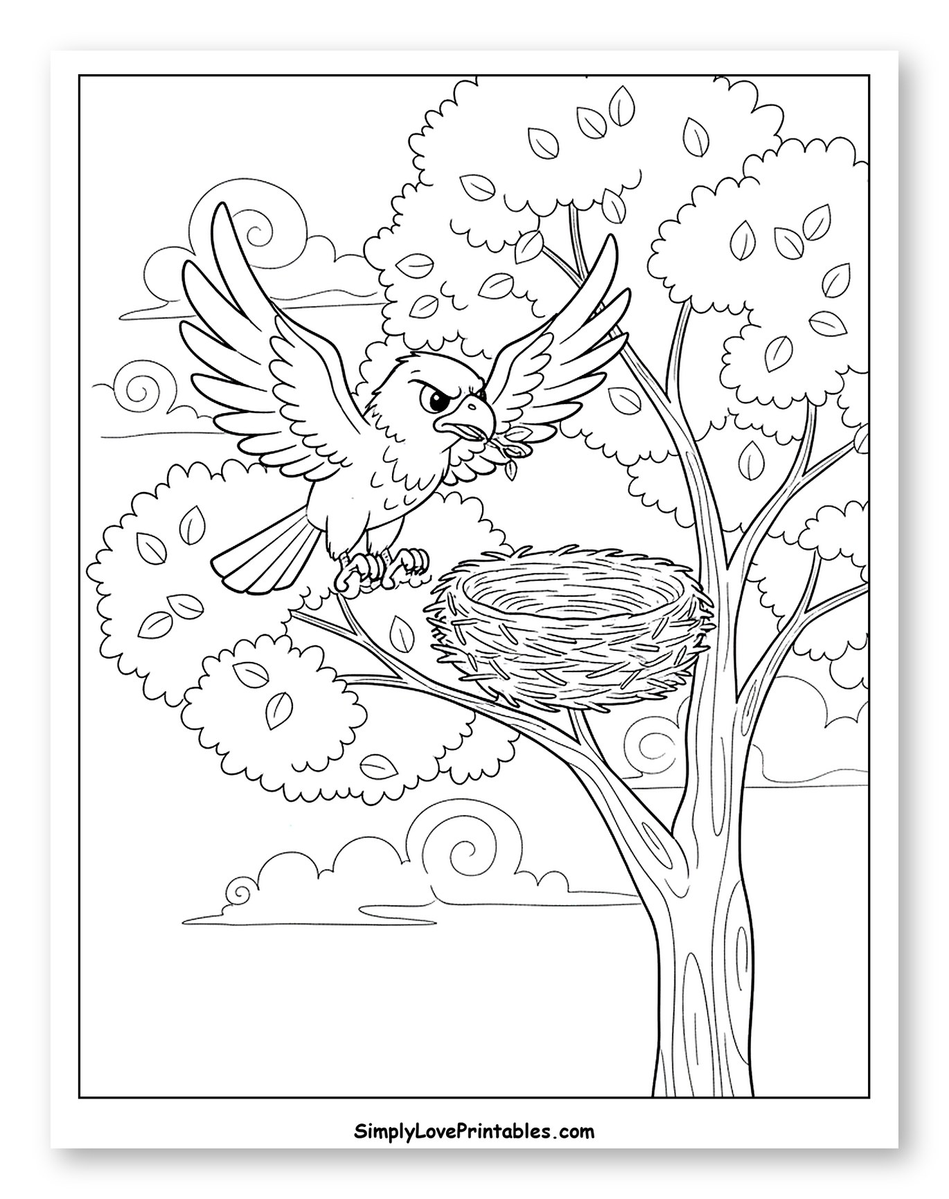 Fierce Hawk Landing at Empty Nest