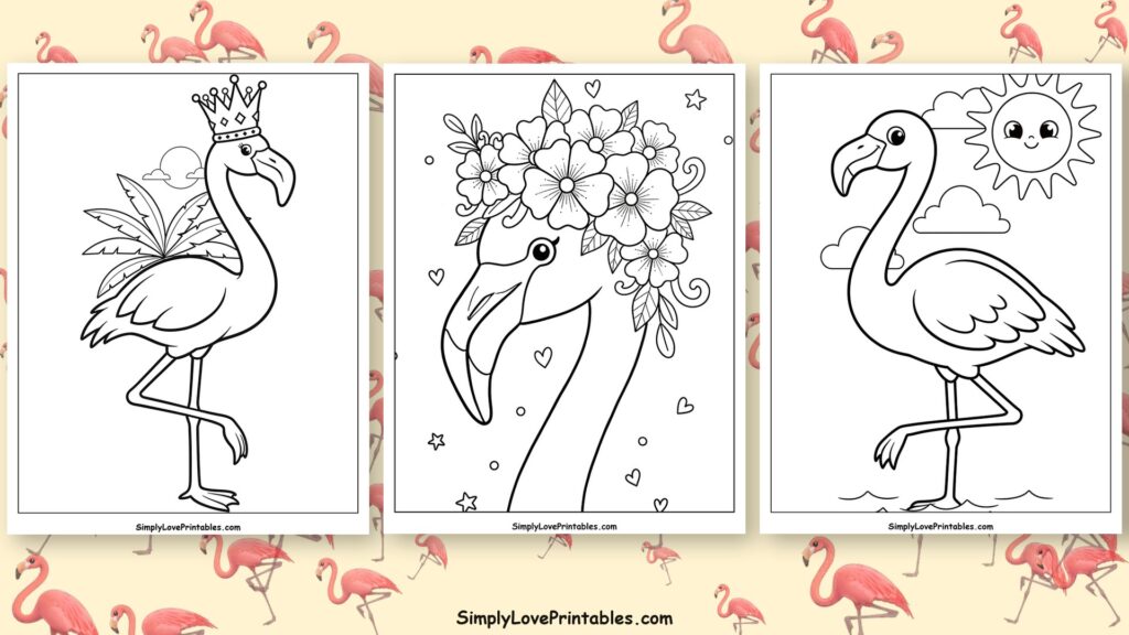 flamingo coloring pages featured image