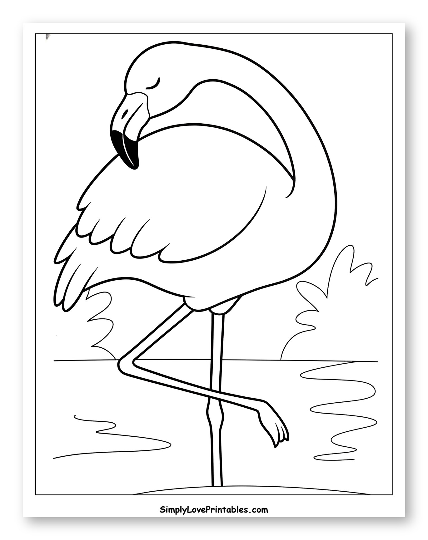 Flamingo Standing on One Leg
