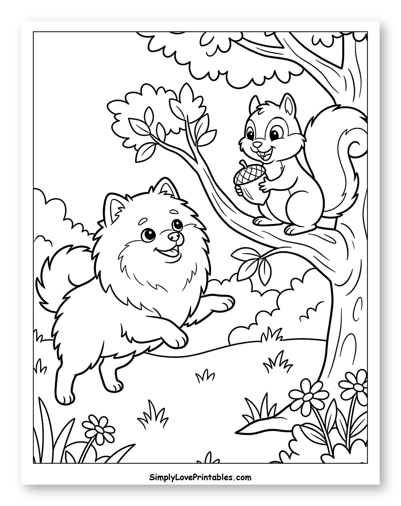 Fluffy Pomeranian Dog and Squirrel in Forest