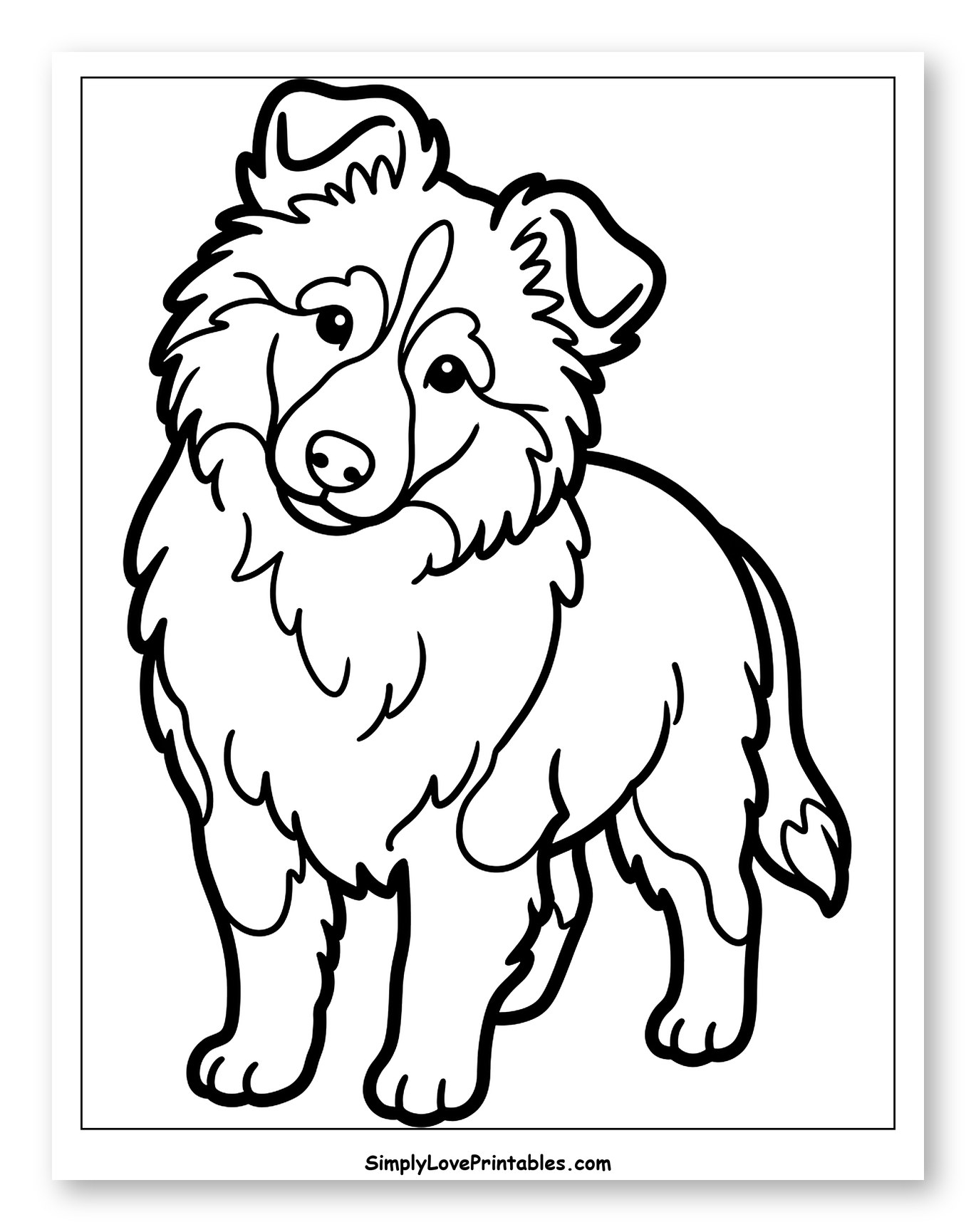 Fluffy Shetland Sheepdog Puppy Standing Coloring Page for Toddlers