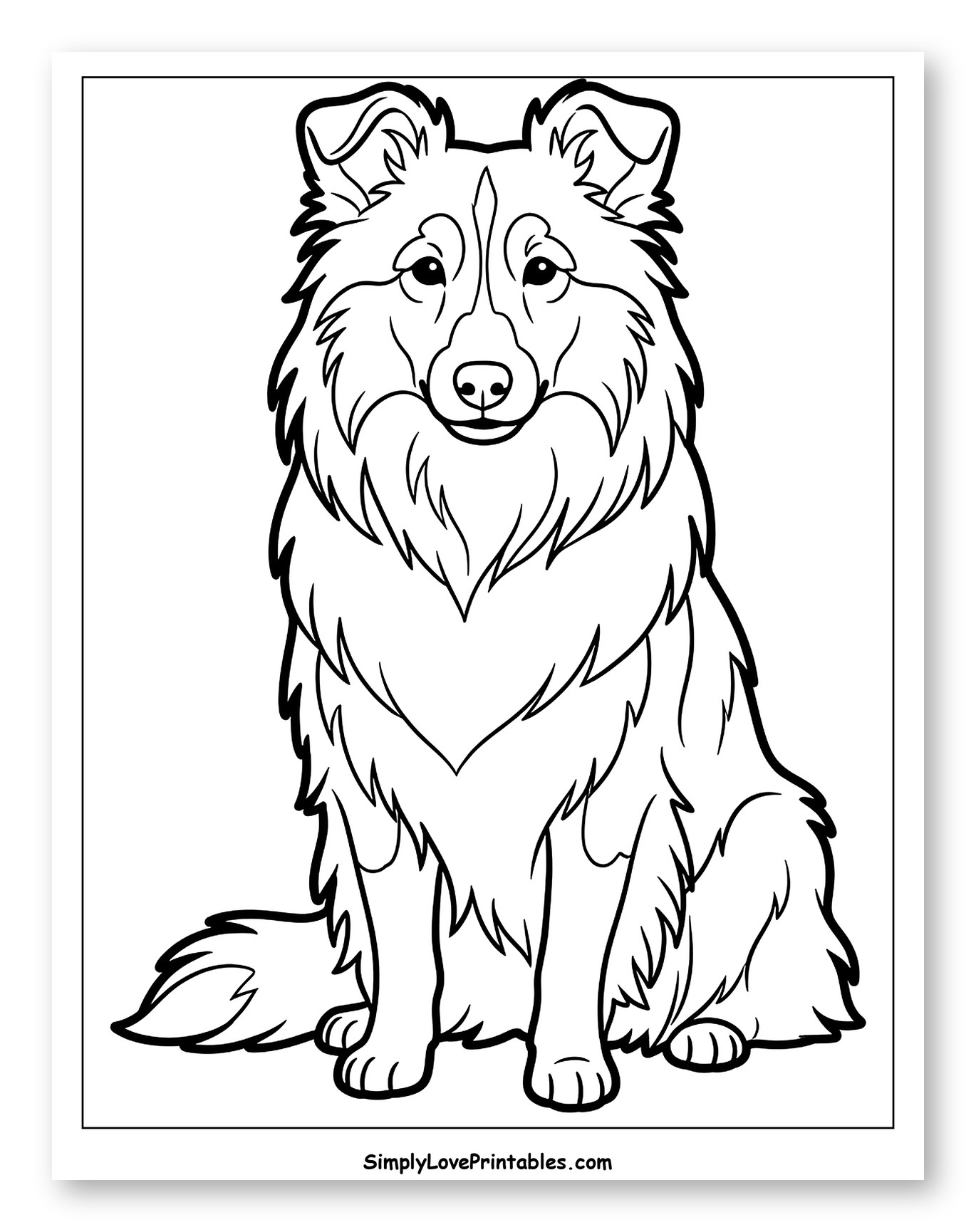 Fluffy Shetland Sheepdog Sitting Calmly Coloring Page for Toddlers