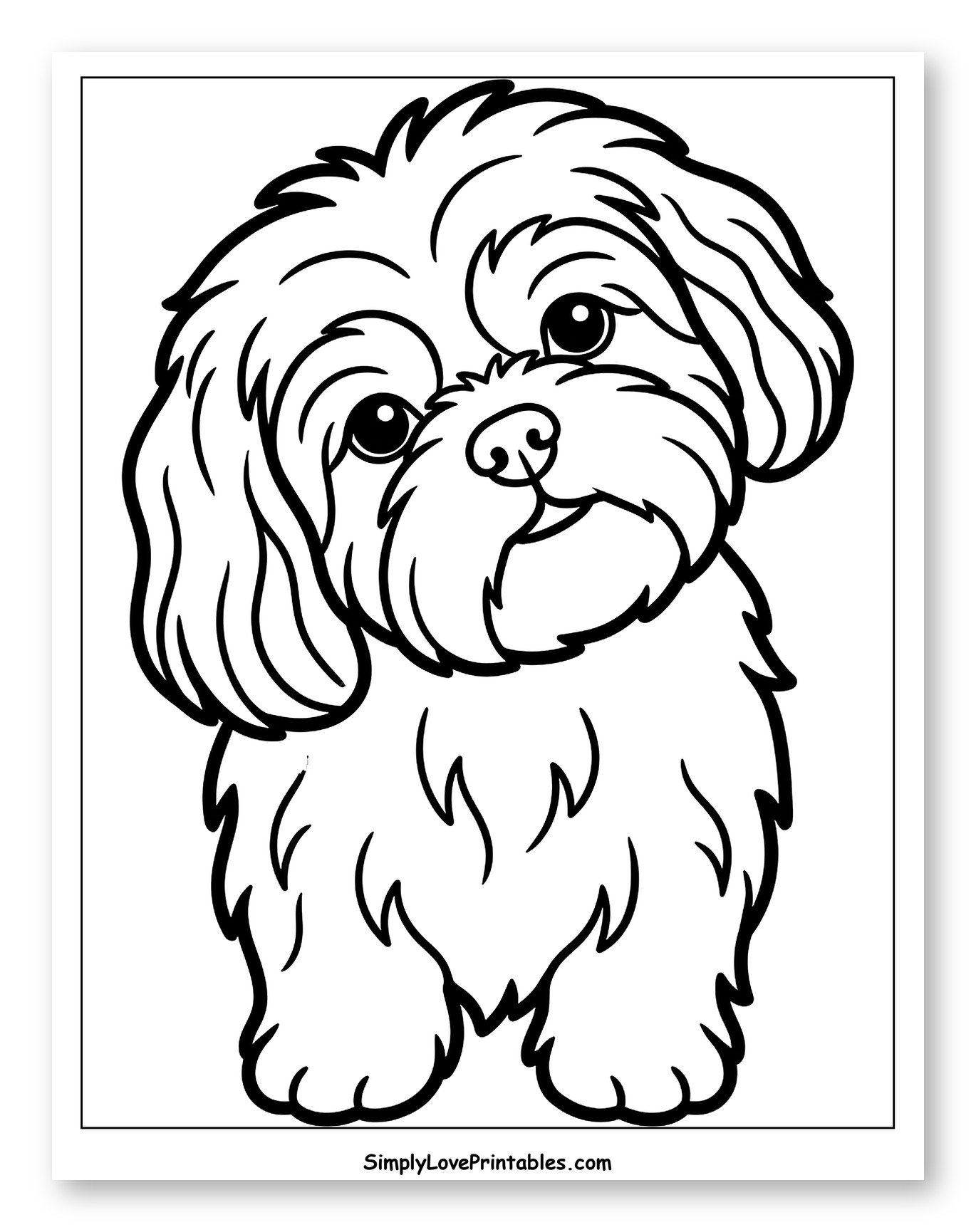 Fluffy Shih Tzu Puppy Looking Adorable to Color for Toddlers