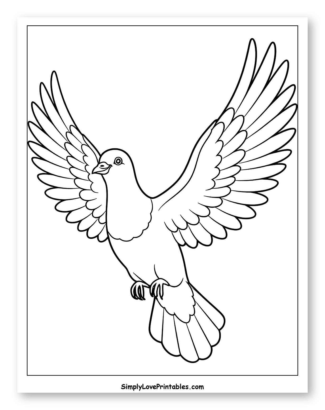 Flying Pigeon with Outspread Wings