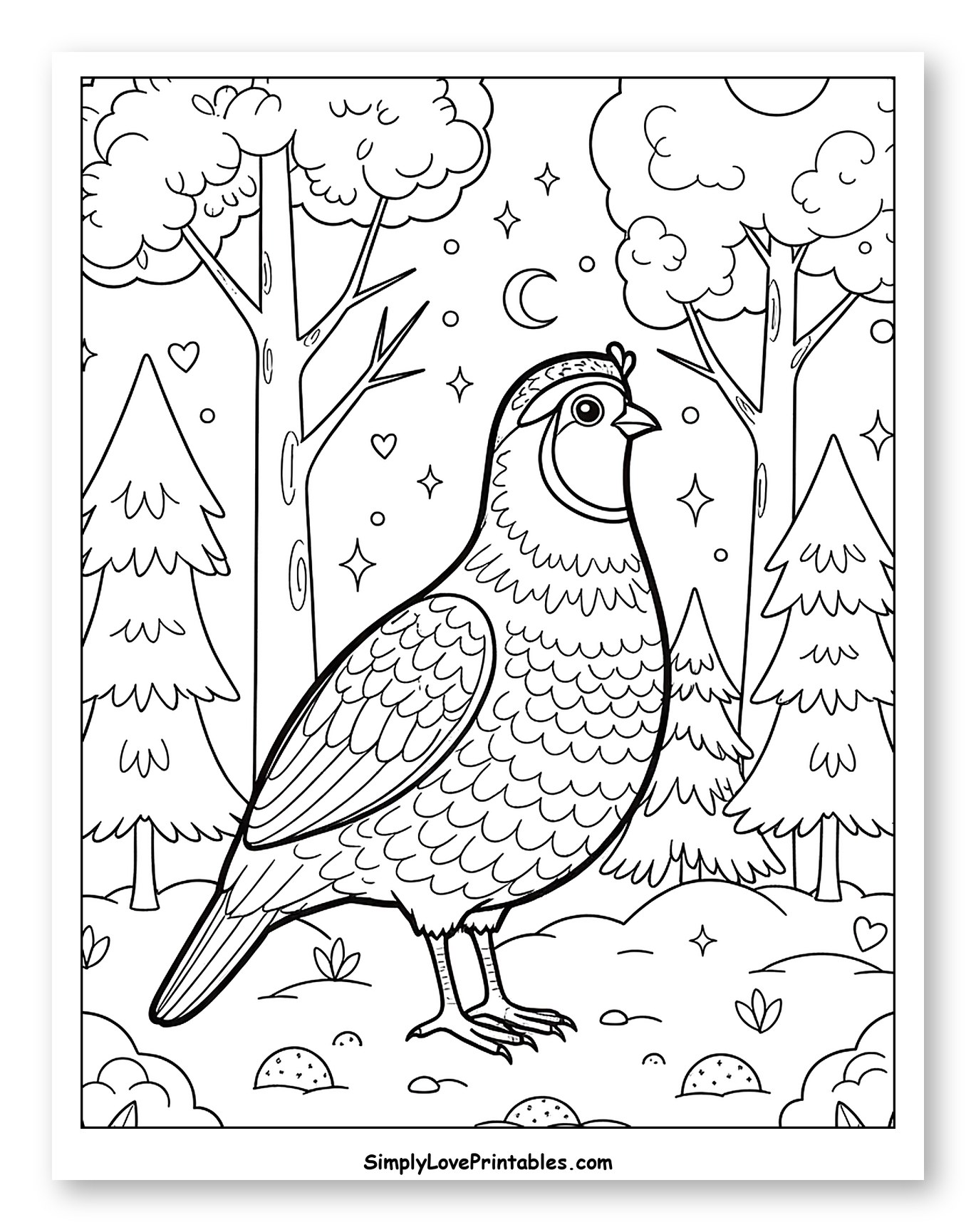 Forest Quail Under Moon and Stars Coloring Page for Adults