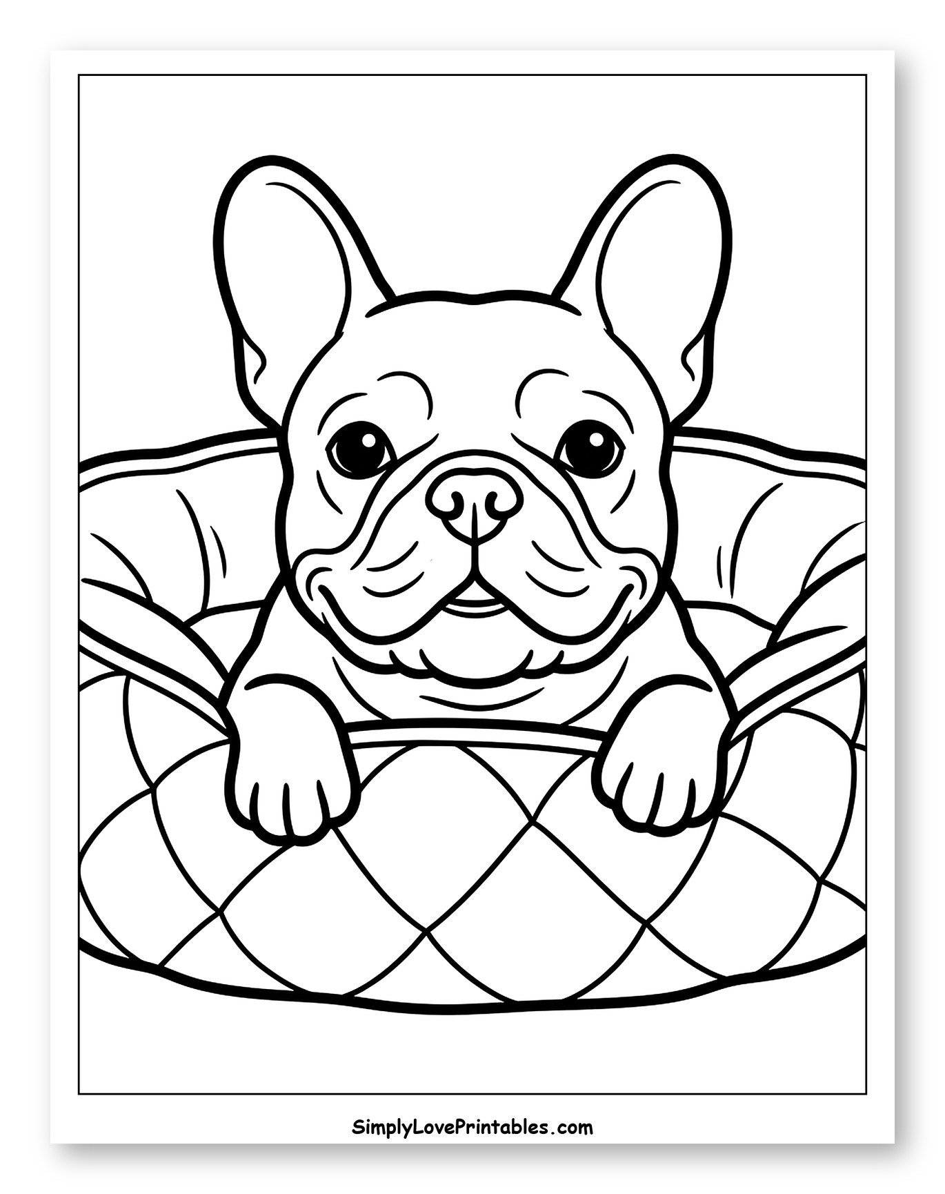 French Bulldog Puppy in a Quilted Bed