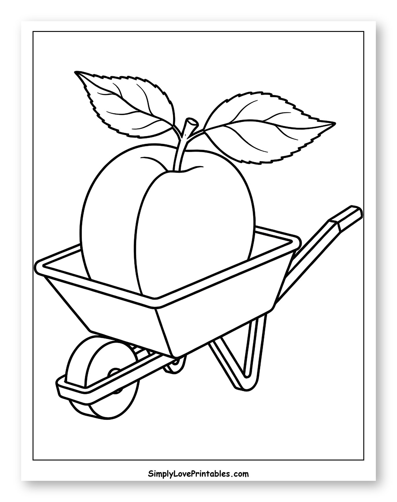 Fresh Apricot with Leaves in a Wheelbarrow
