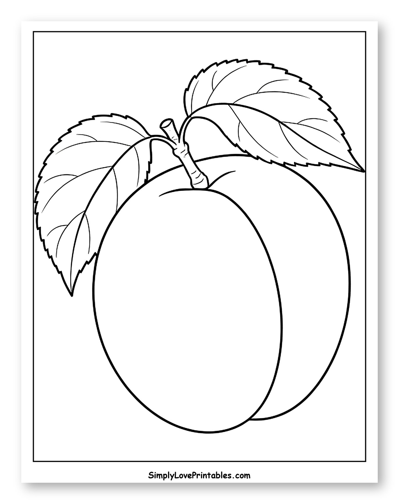 Fresh Apricot with Two Leaves