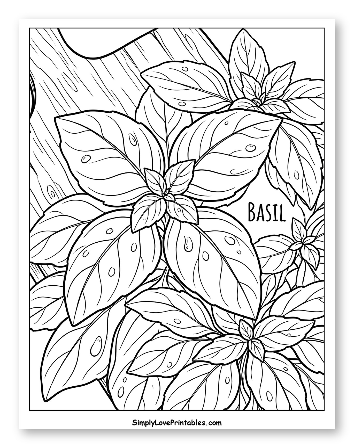 Fresh Basil Leaves on a Cutting Board Coloring Page