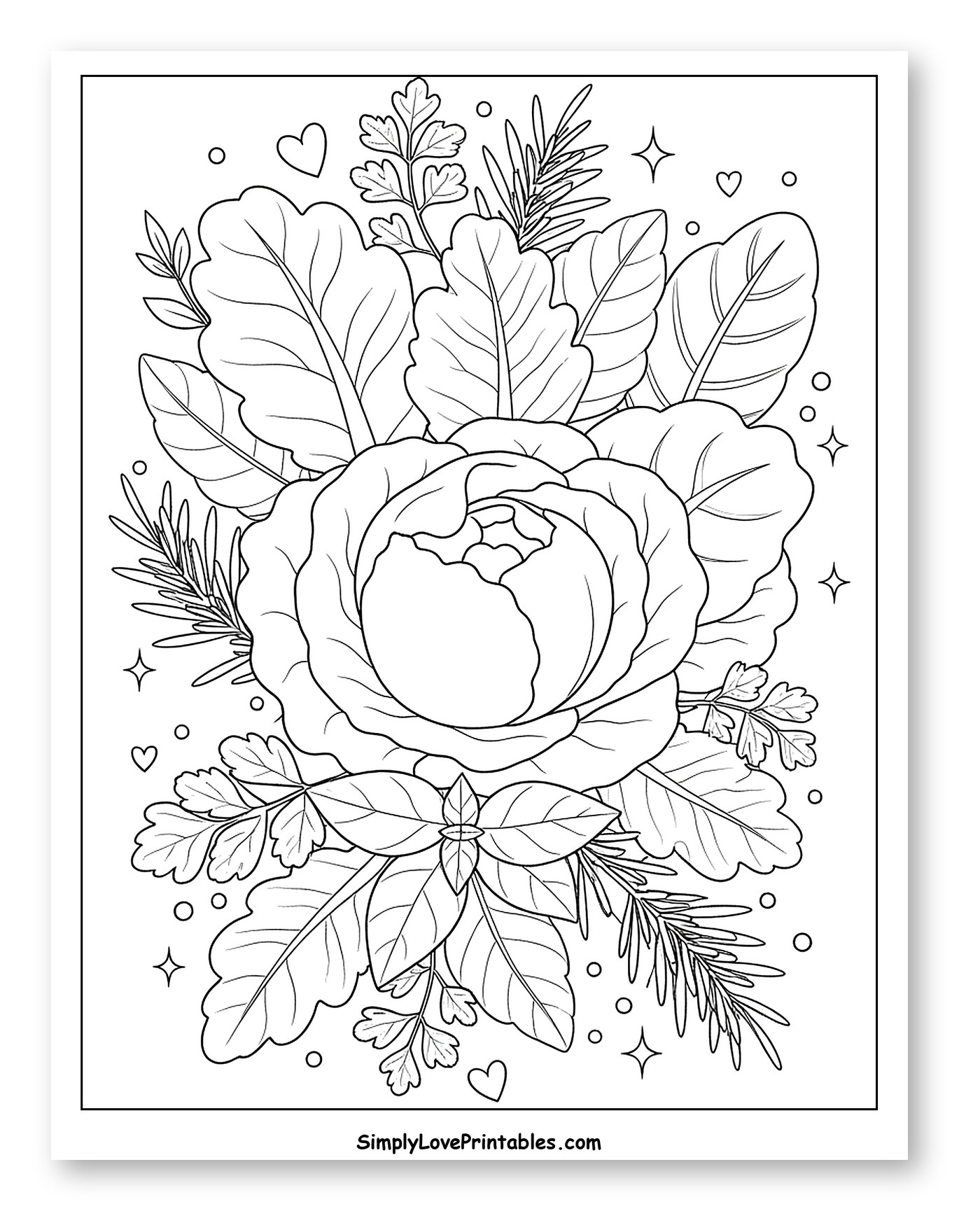 Fresh Cabbage and Herbs with Leafy Greens Coloring Sheet for Adults