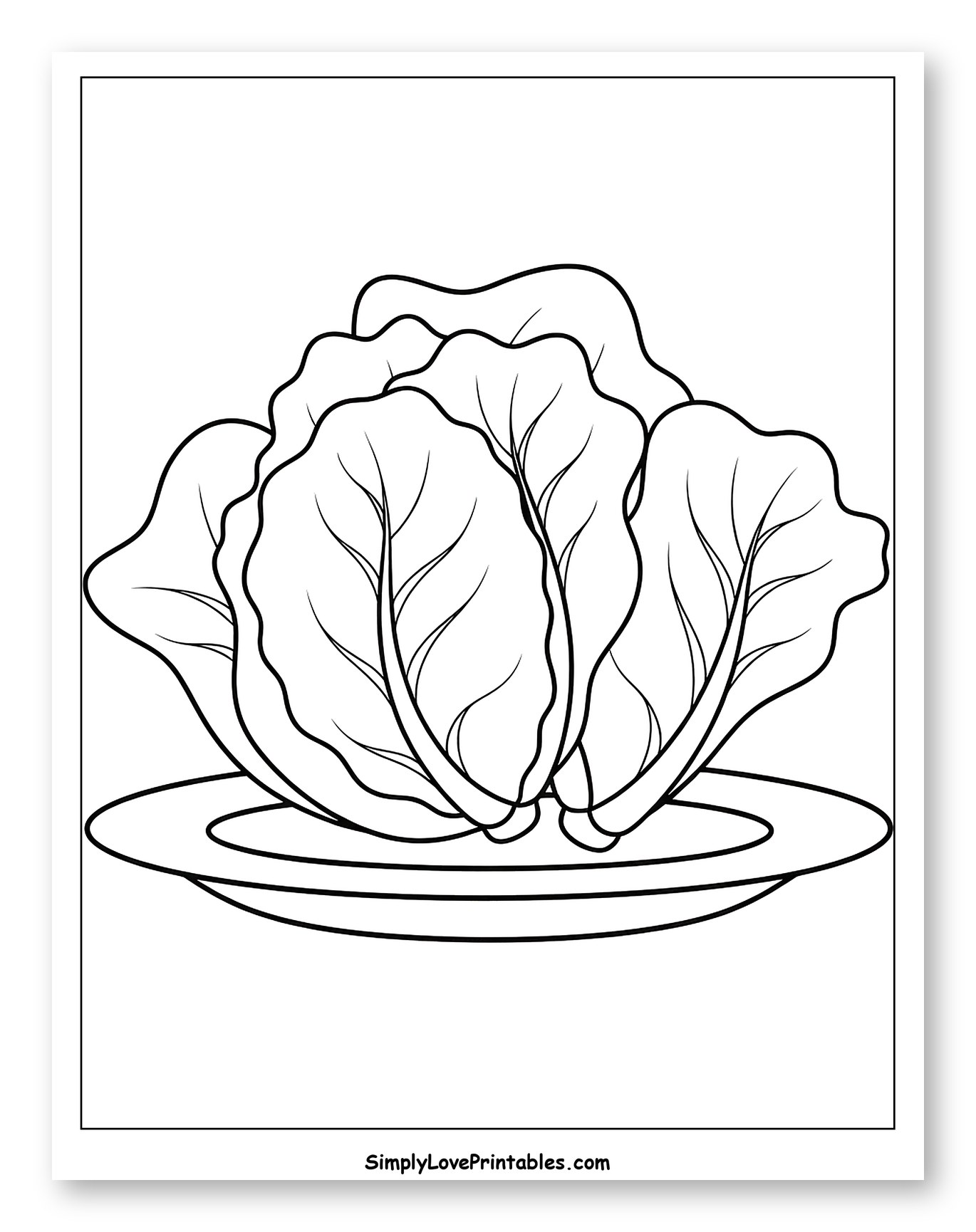 Fresh Lettuce Head on a Plate