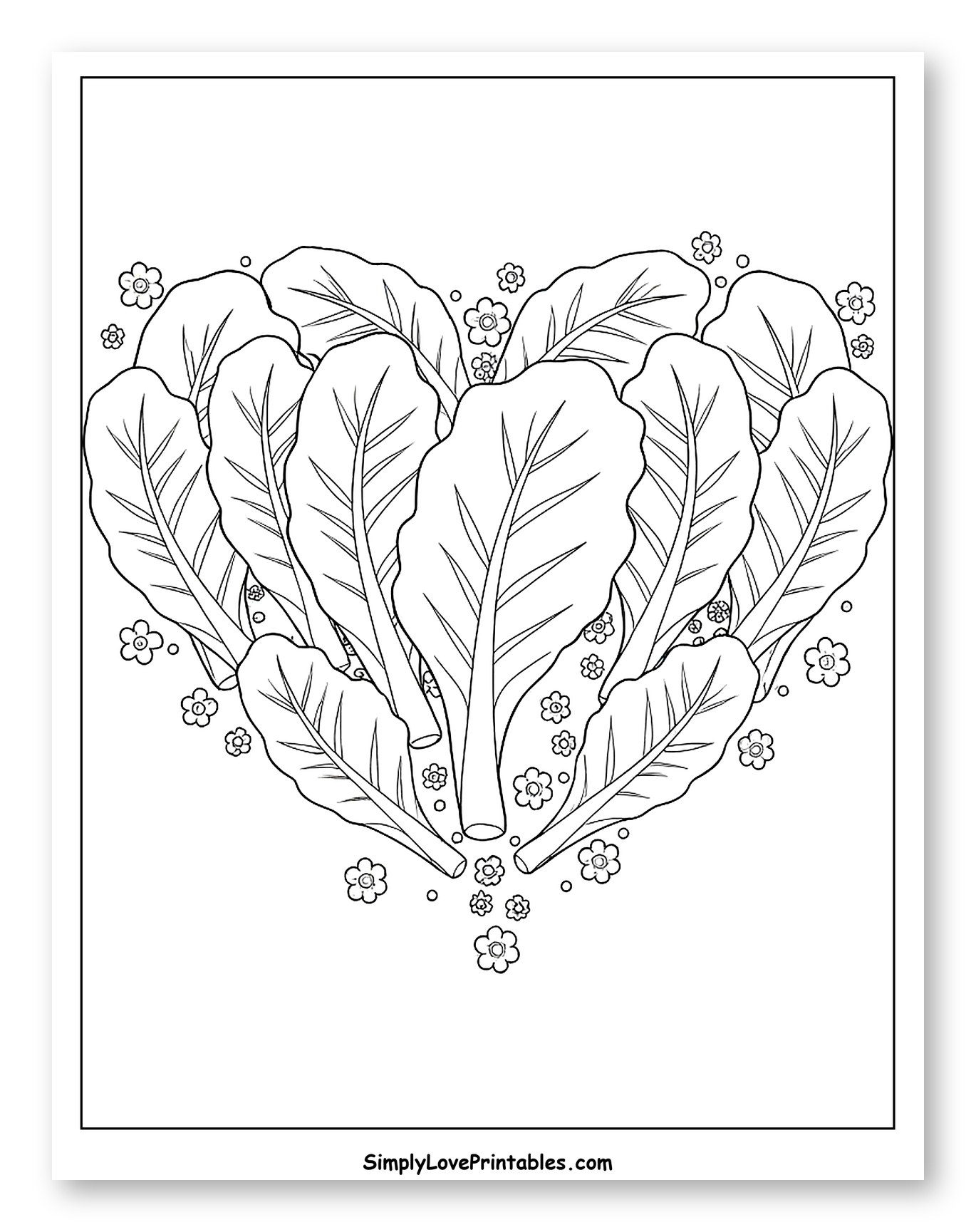 Fresh Lettuce Heart with Scattered Flowers Coloring Sheet for Kids