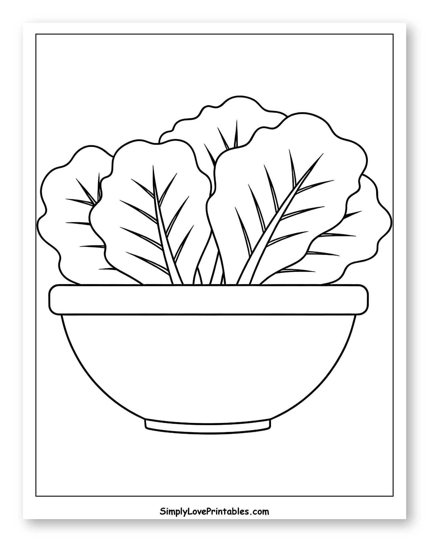 Fresh Lettuce in a Serving Bowl