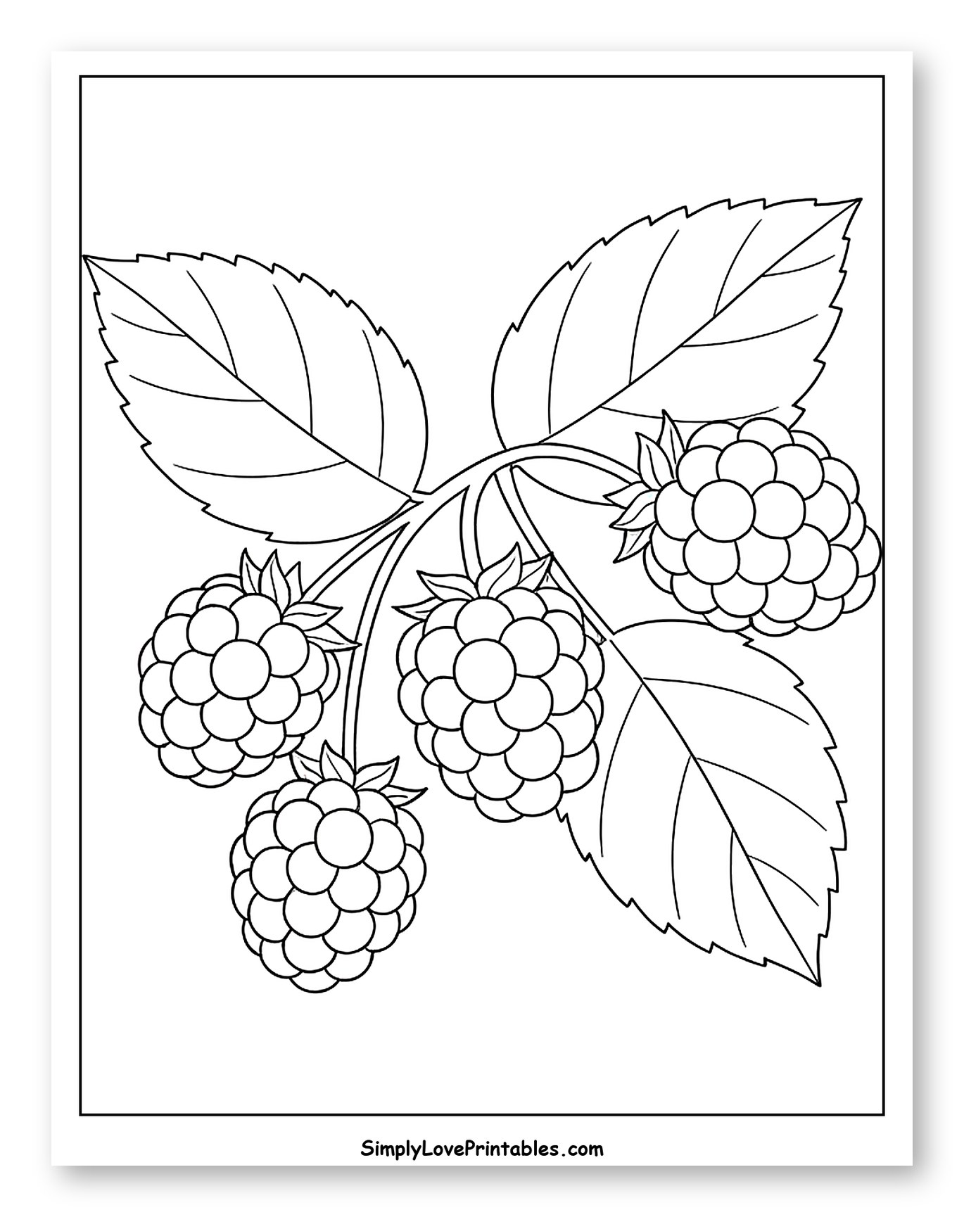 Fresh Raspberries Hanging from a Branch Coloring Page for Toddlers
