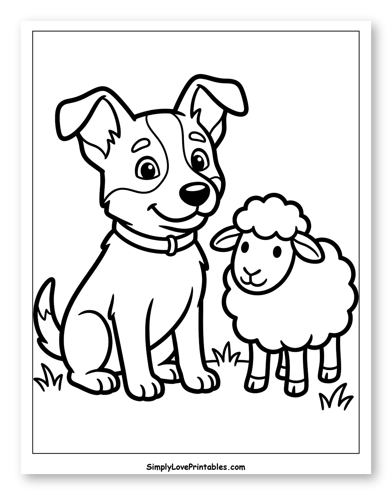 Friendly Australian Cattle Dog and Sheep