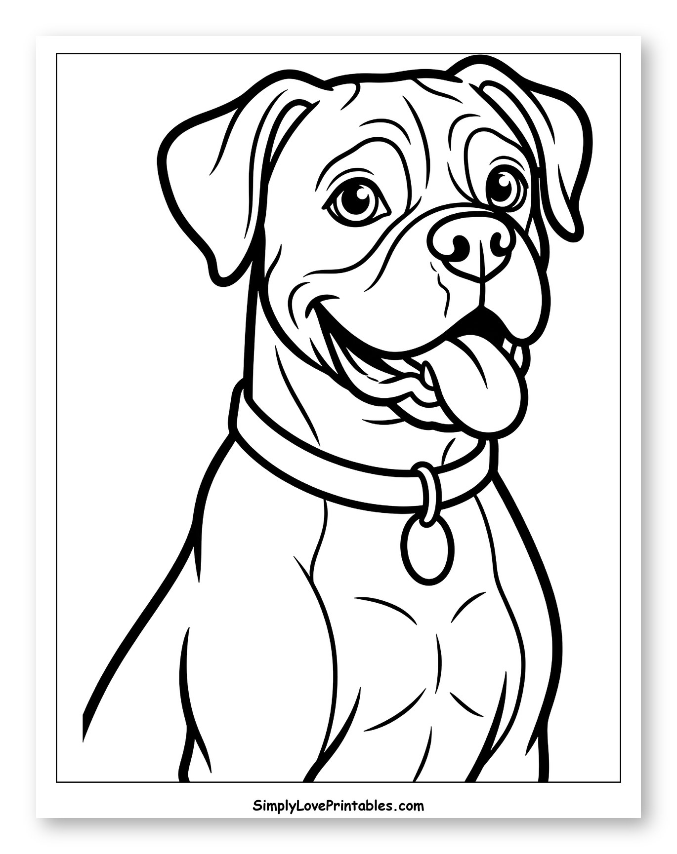Friendly Boxer Dog Wearing a Collar