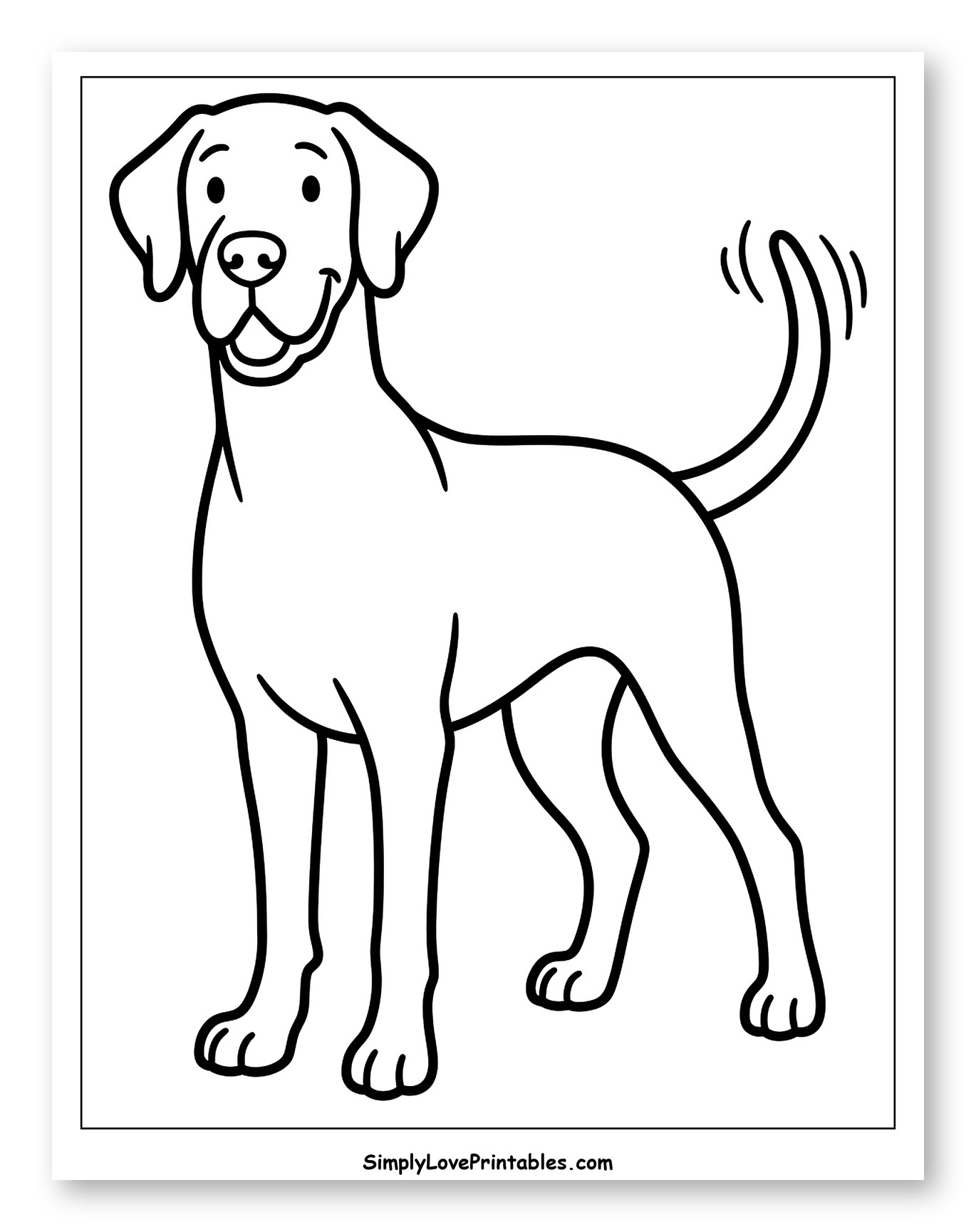 Friendly Great Dane Standing and Smiling