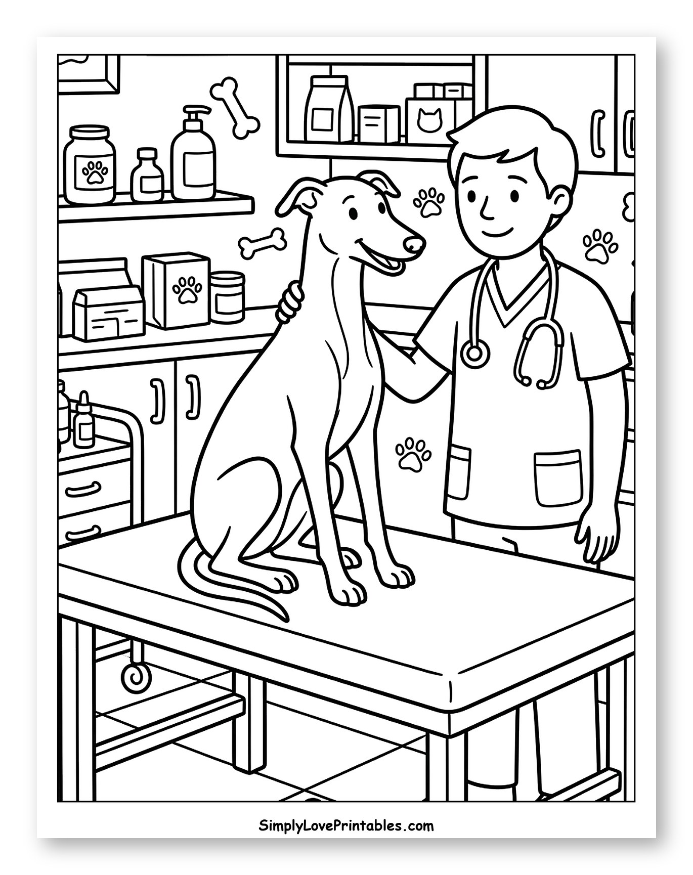 Friendly Greyhound Dog at Vet Visit
