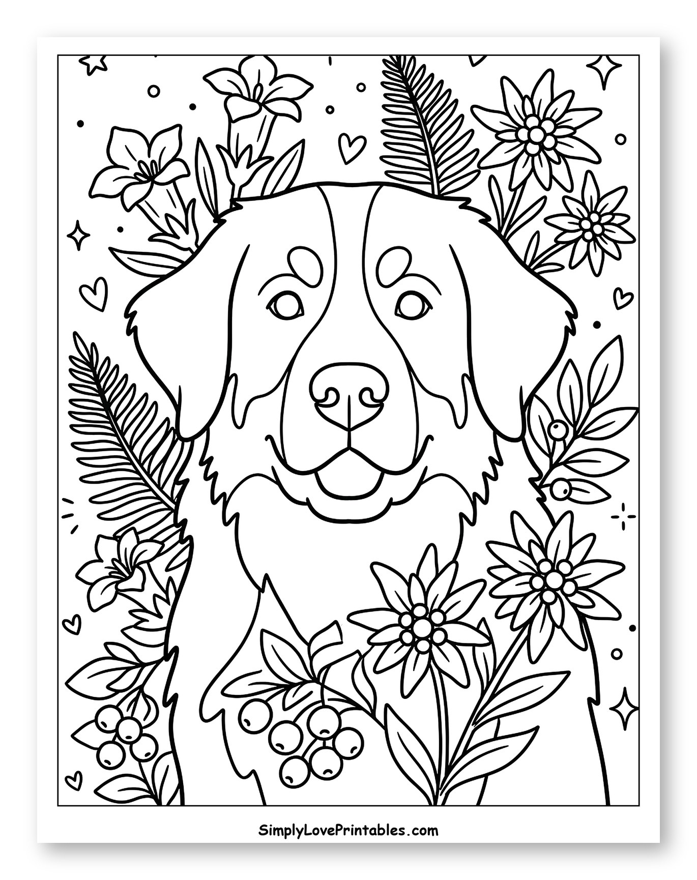 Gentle Bernese Dog with Mountain Blooms
