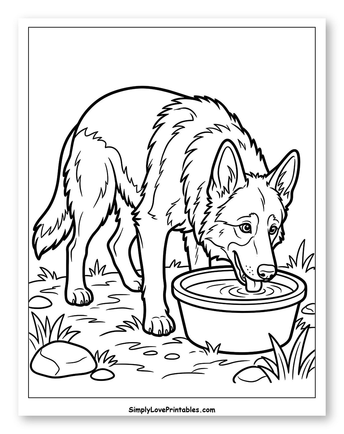 German Shepherd Dog Drinking Water Coloring Sheet for Toddlers