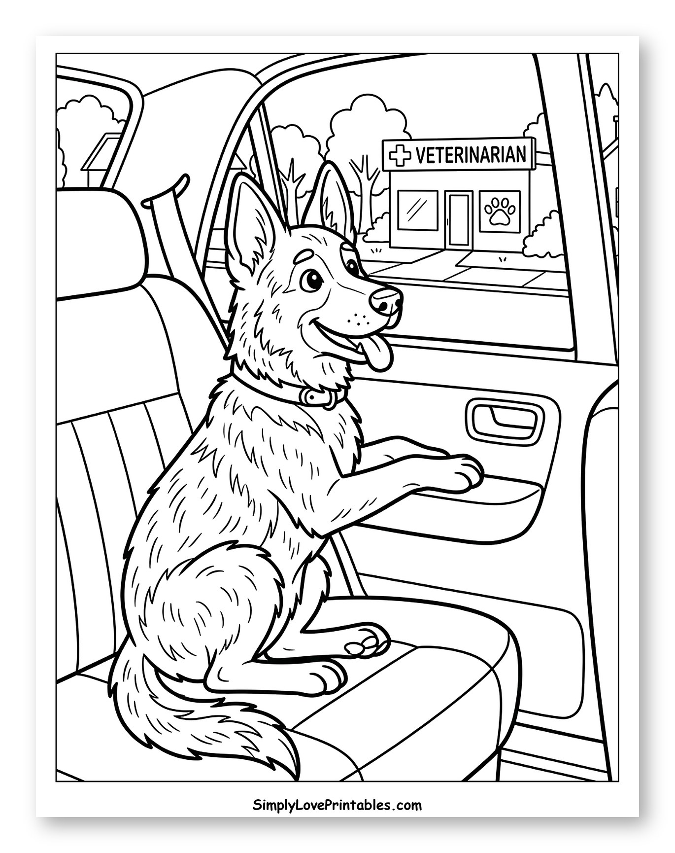 German Shepherd Dog in Car Looking at Veterinarian
