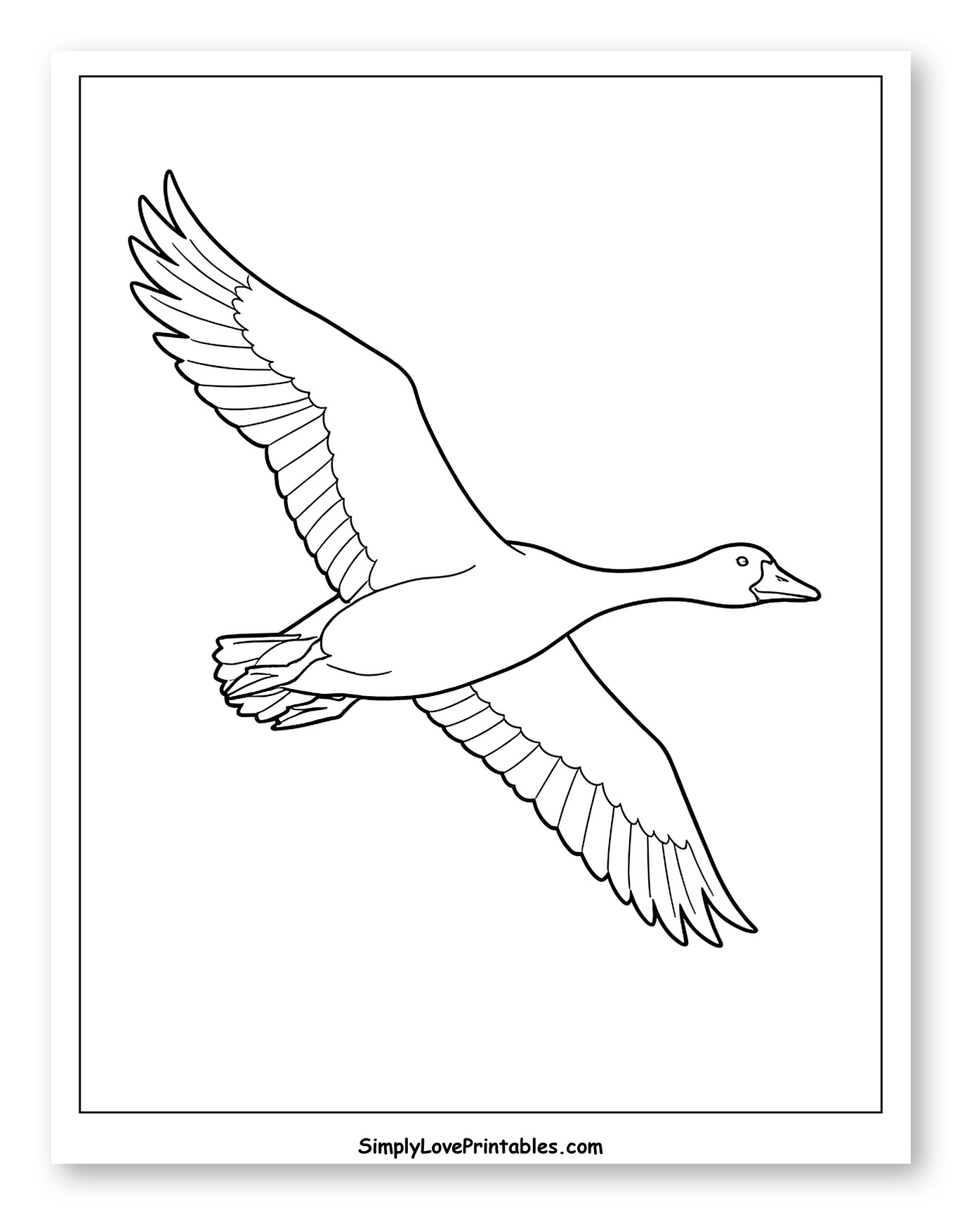 Goose Flying with Wings Spread to Color for Toddlers