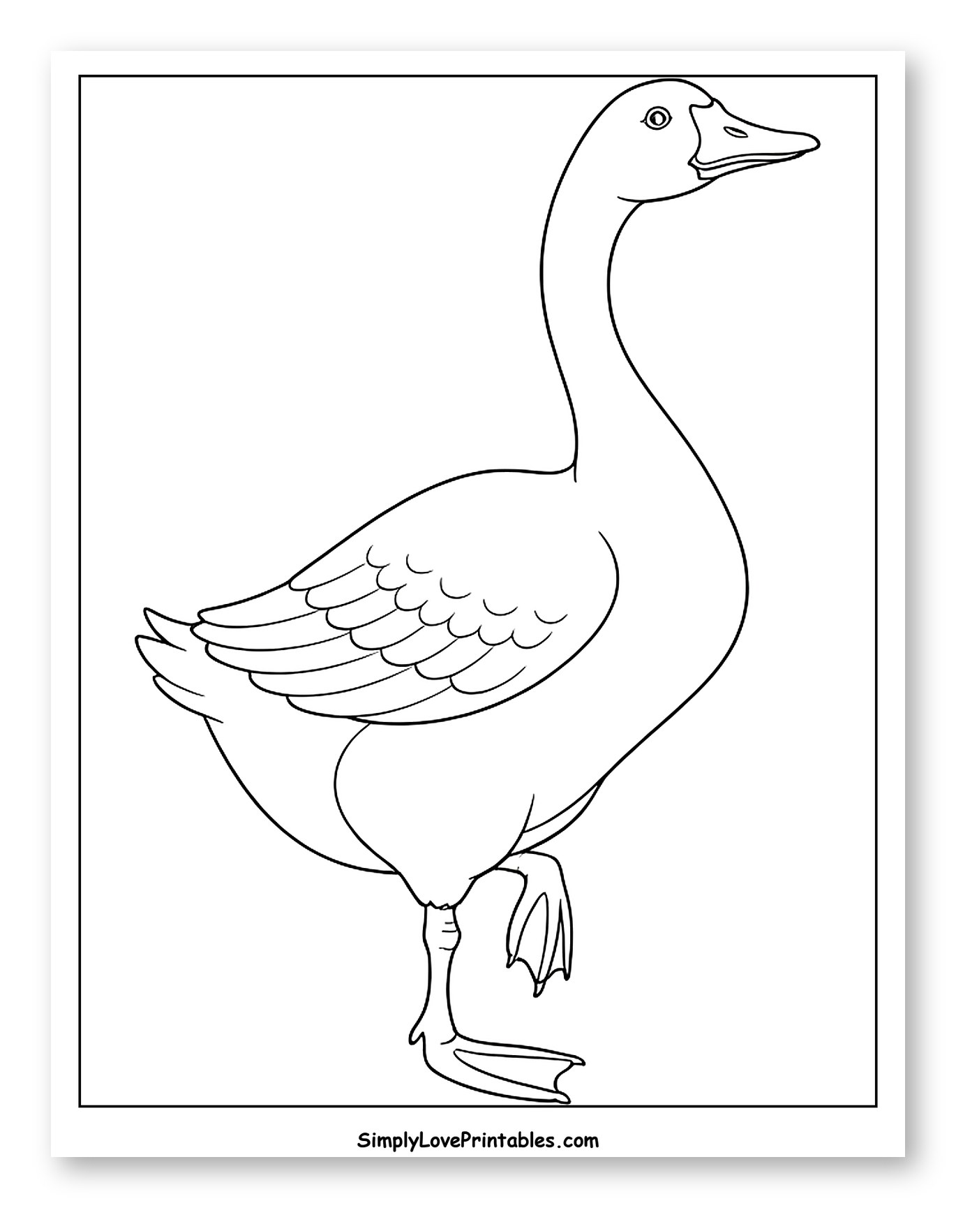 Goose Standing on One Leg