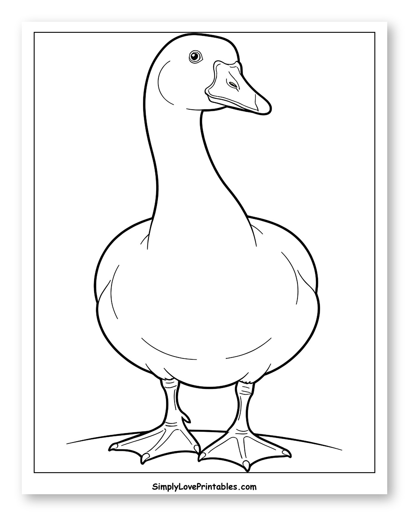 Graceful Goose Standing and Looking Forward