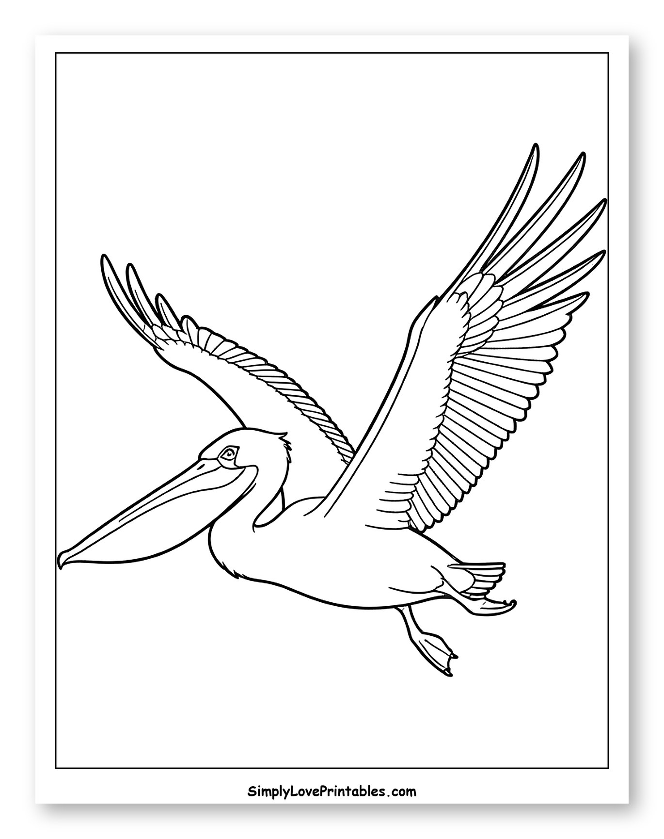 Graceful Pelican Gliding in the Sky