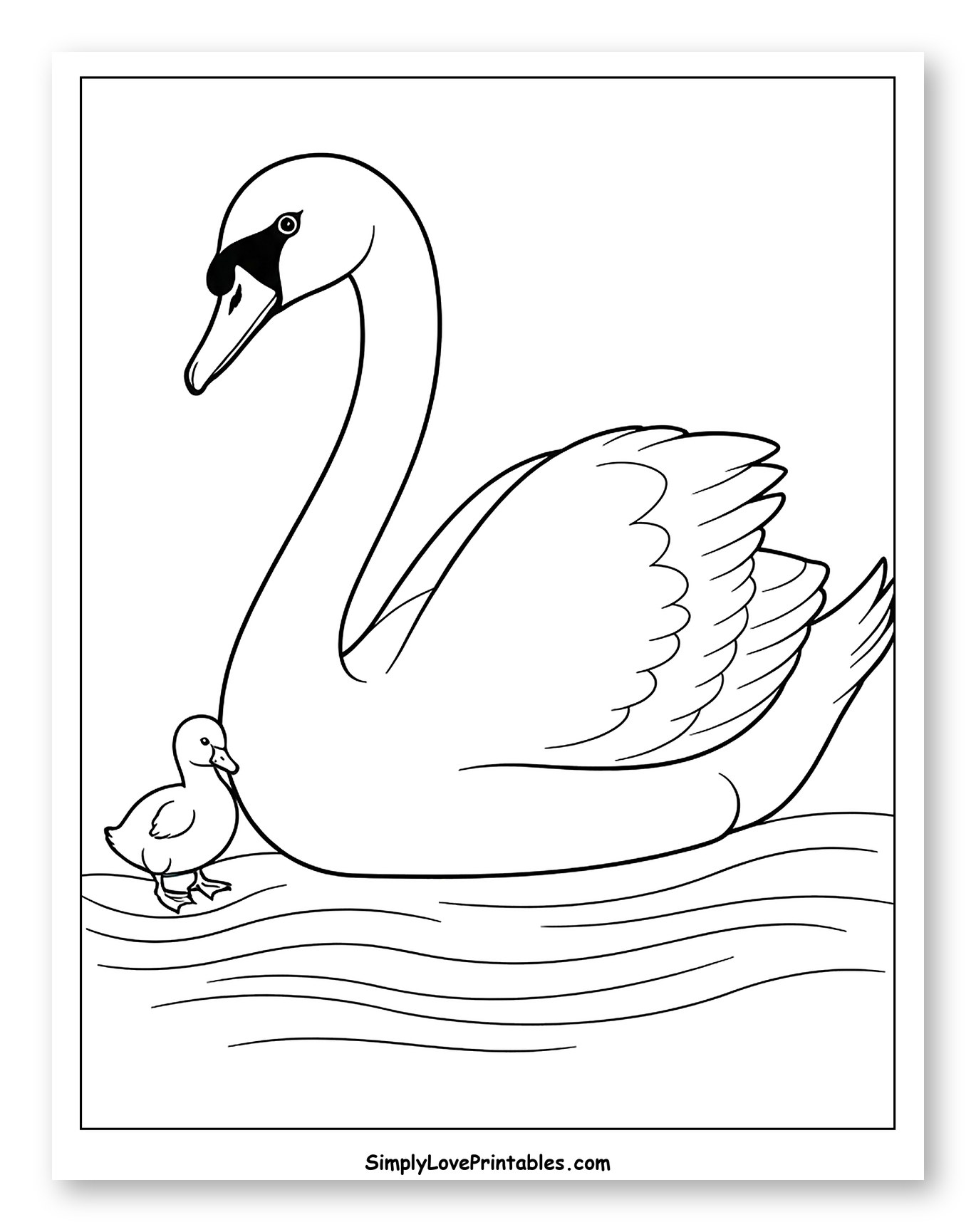 Graceful Swan and Duckling Swimming Together Coloring Sheet for Toddlers