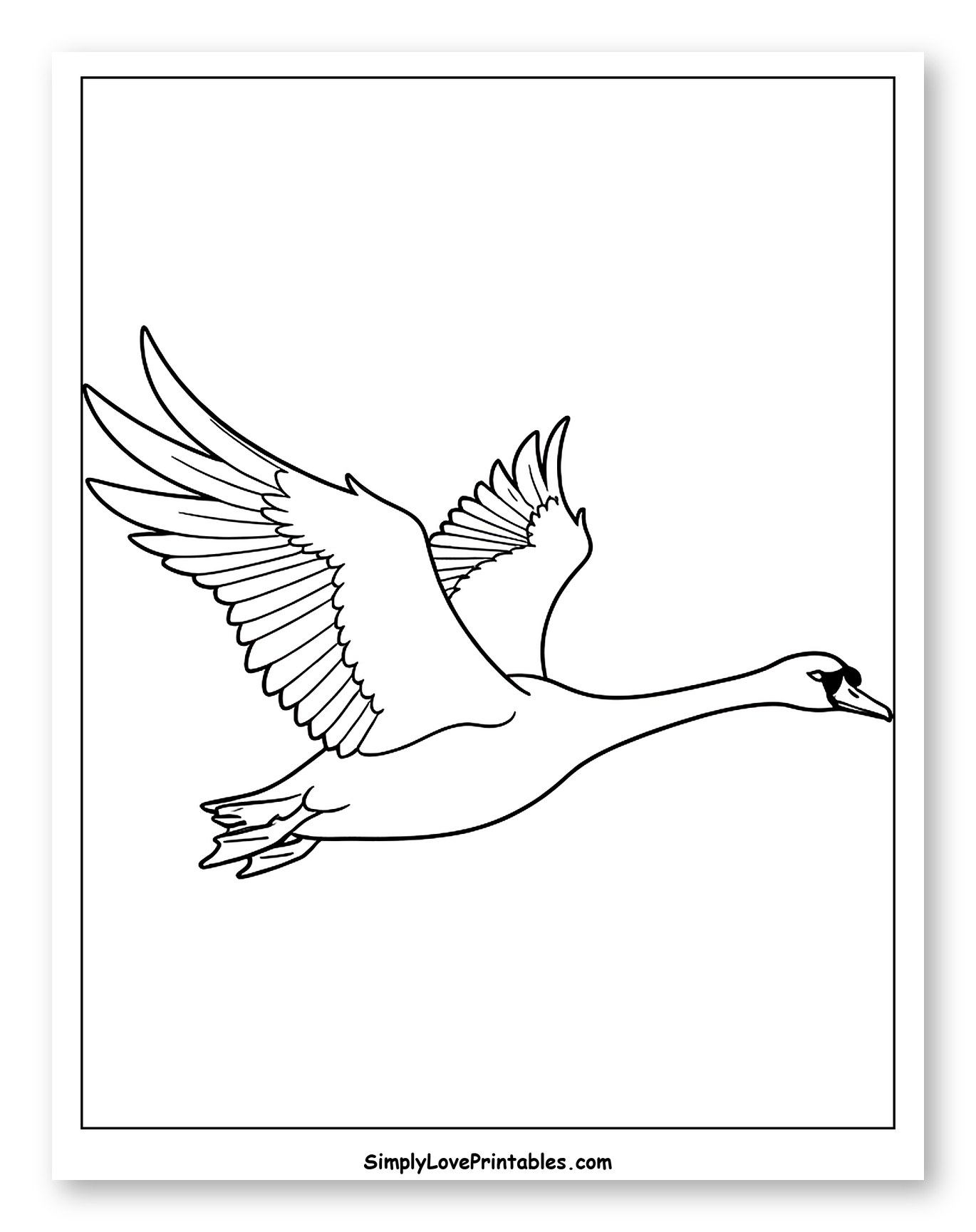 Graceful Swan Flying with Outstretched Wings Coloring Sheet for Toddlers