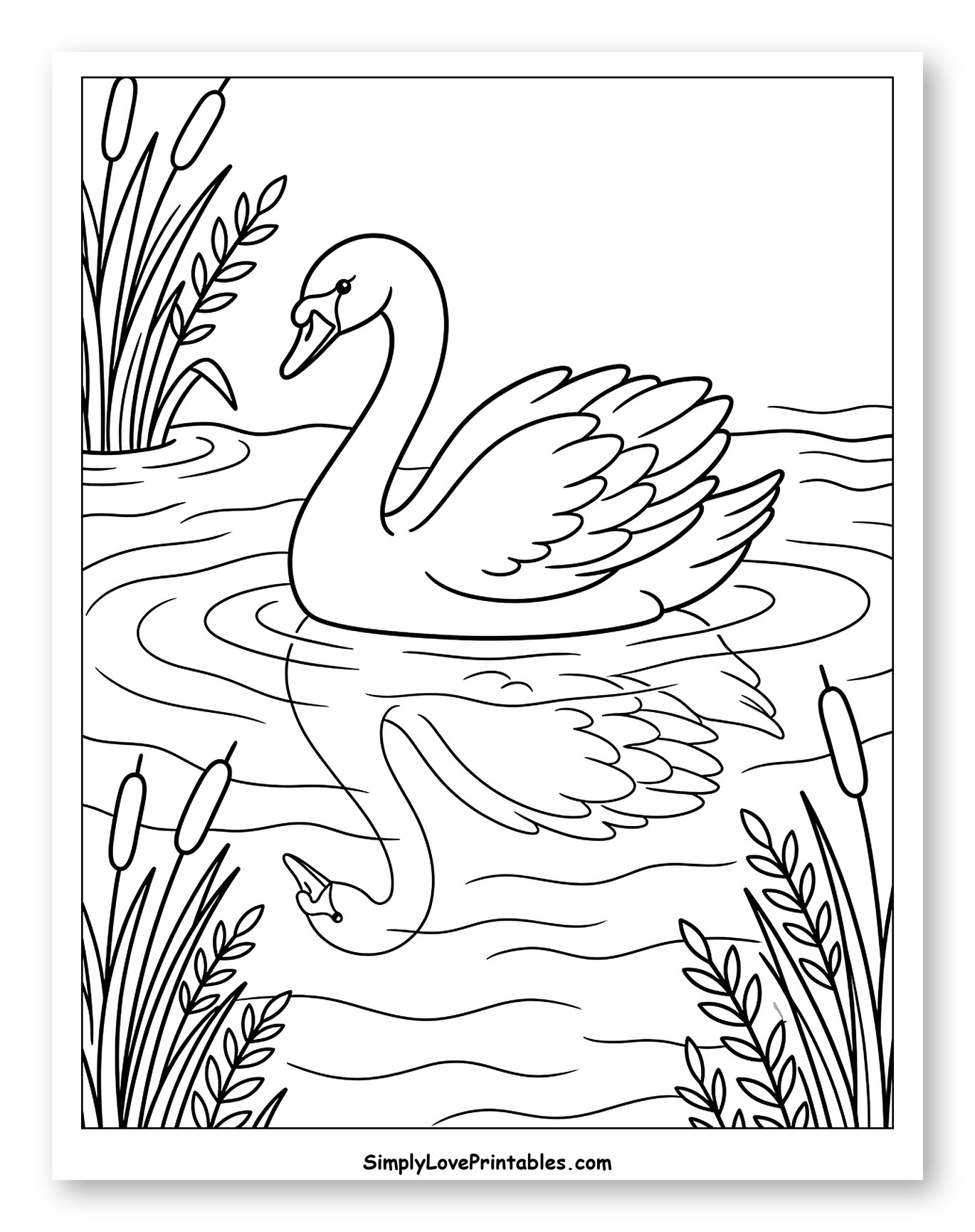 Graceful Swan Swimming in a Lake to Color for Kids