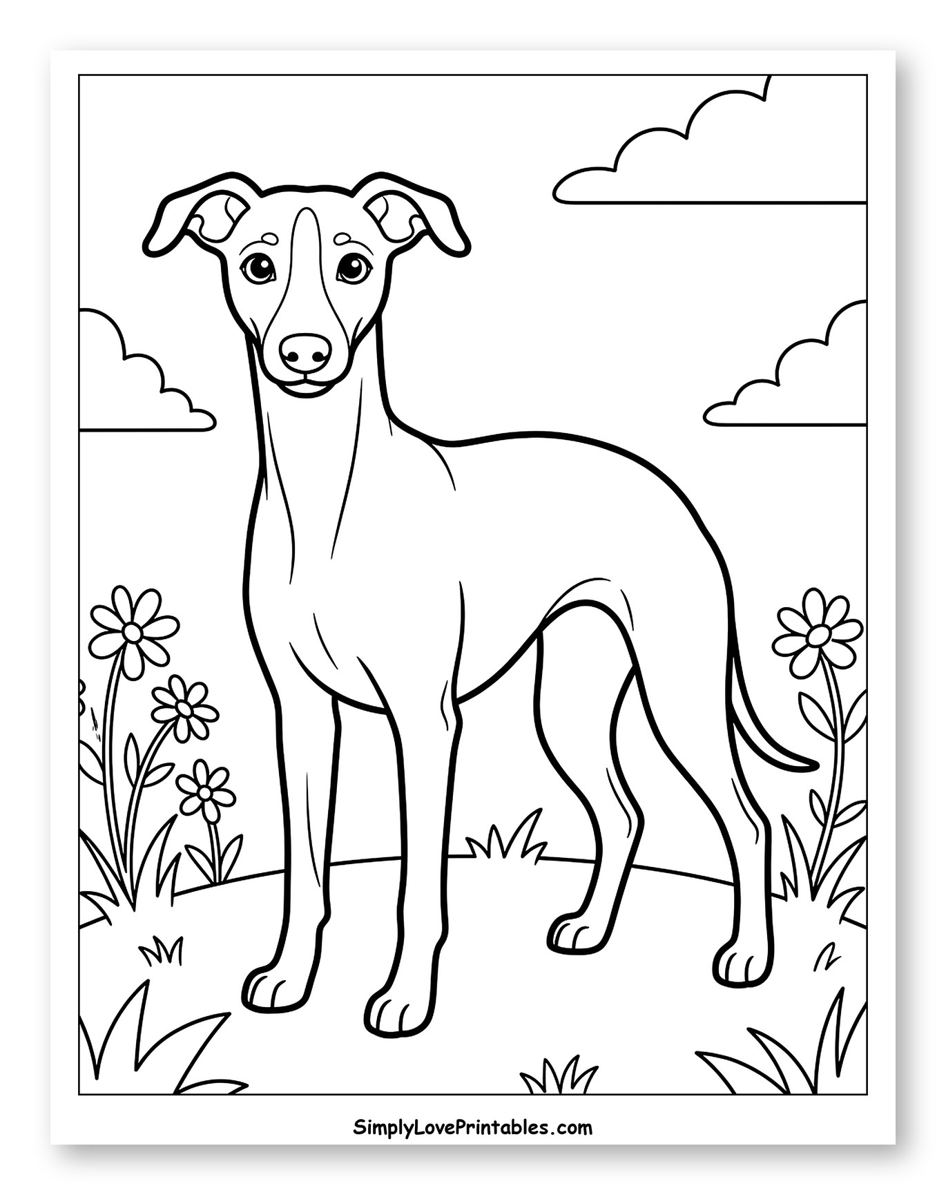 Graceful Whippet Standing Among Flowers and Clouds