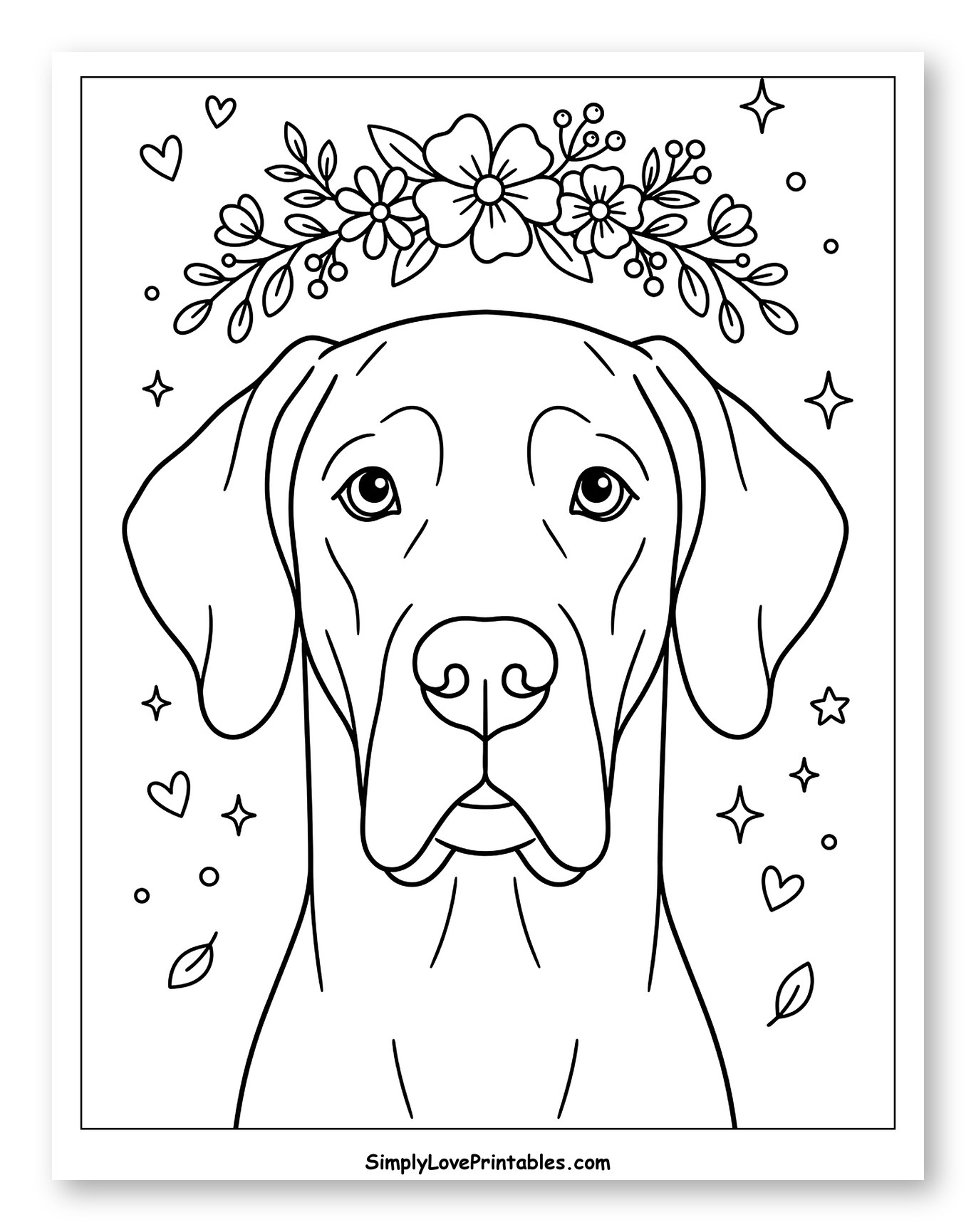 Great Dane Adorned with Flowers and Stars