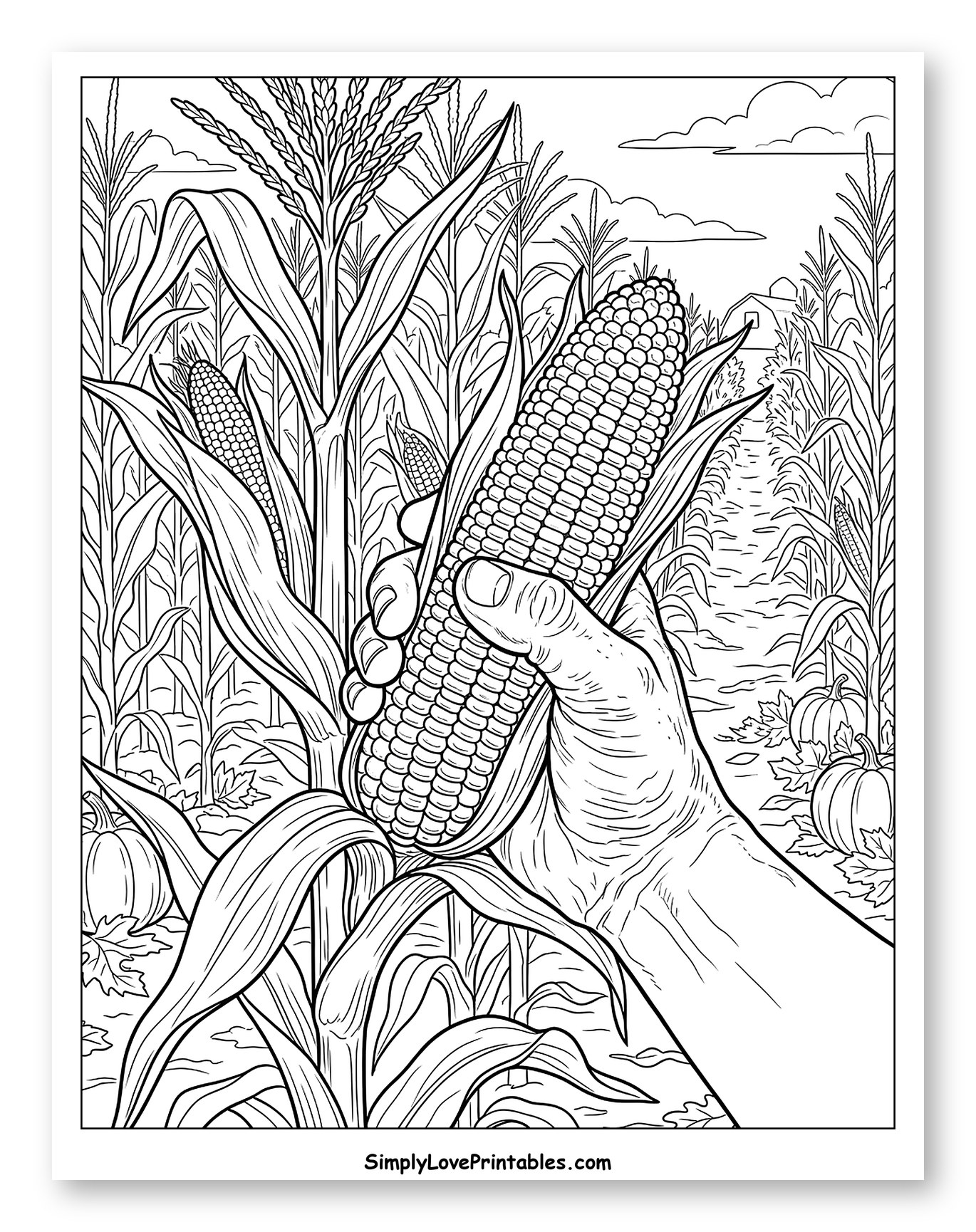 Hand Holding a Cob of Corn to Color