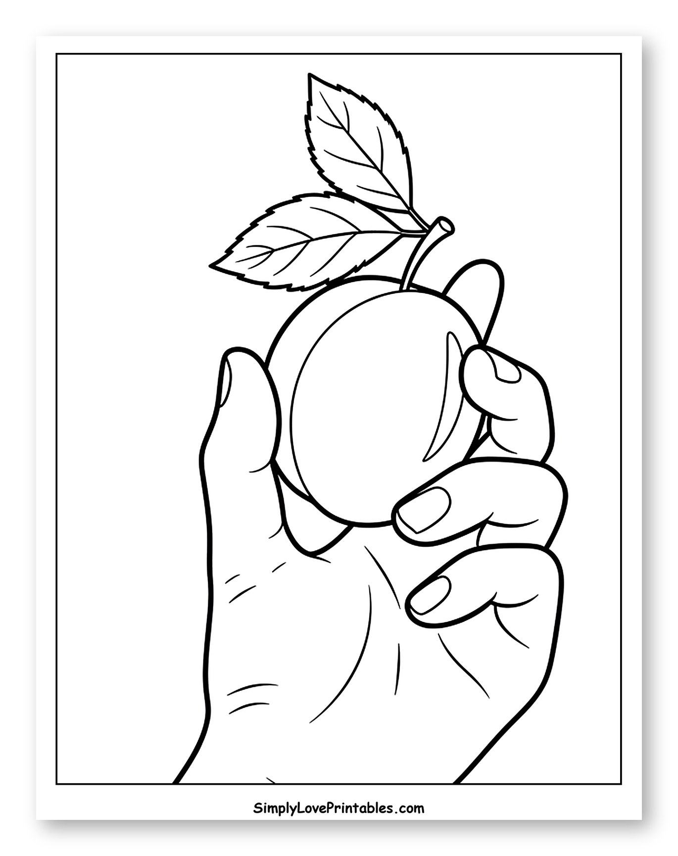 Hand Holding a Plum with Leaves