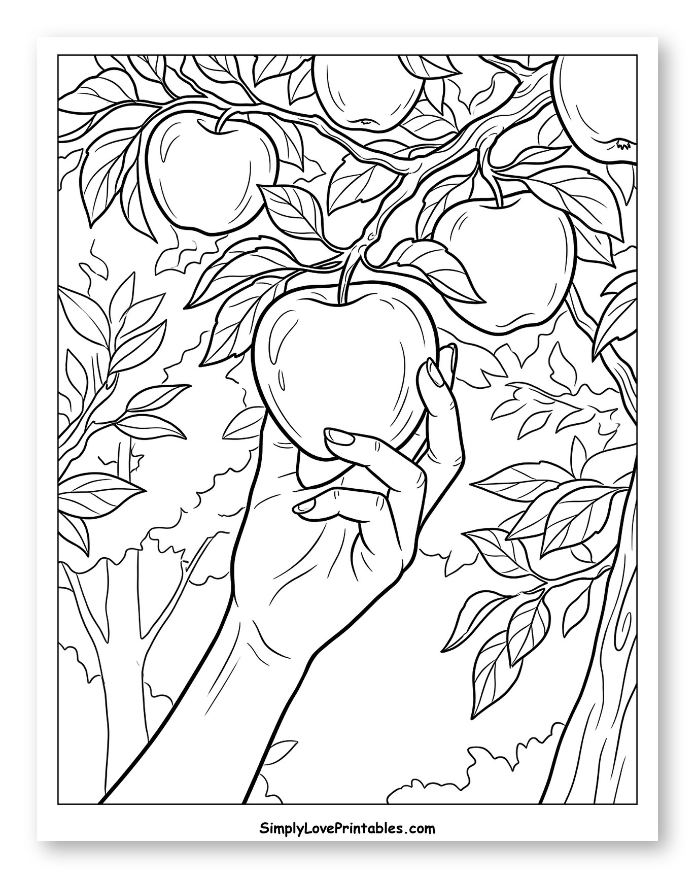 Hand Picking a Ripe Apple from a Tree