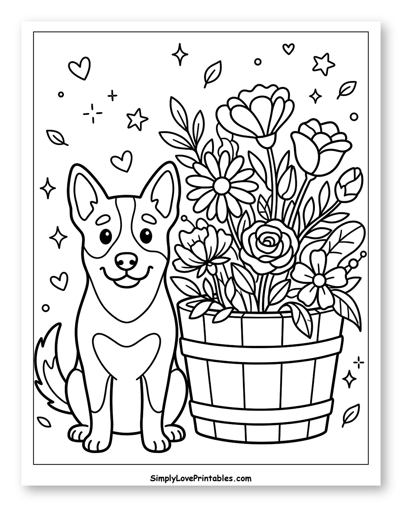 Happy Australian Cattle Dog by Flower Bucket