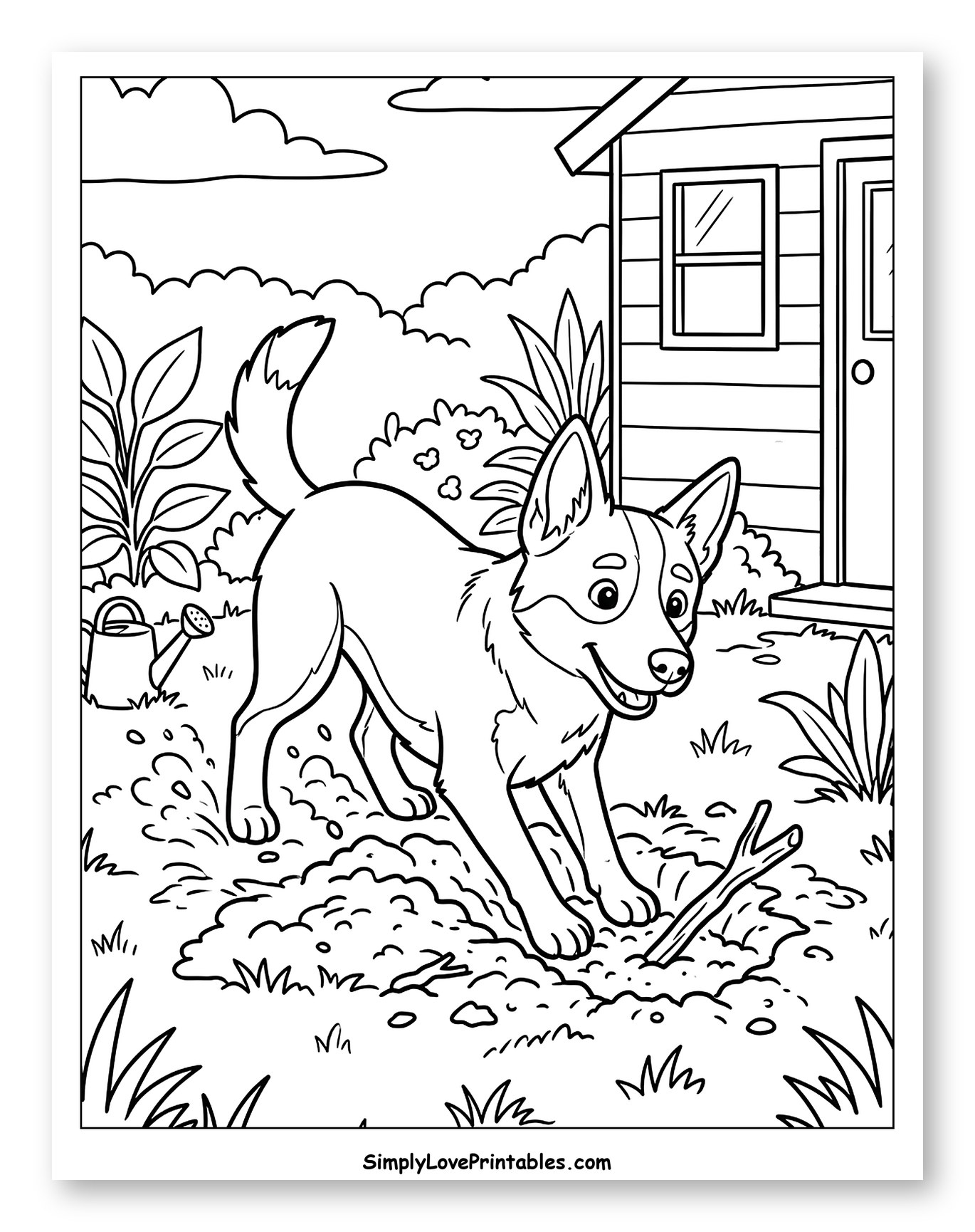 Happy Australian Cattle Dog Digging in Garden
