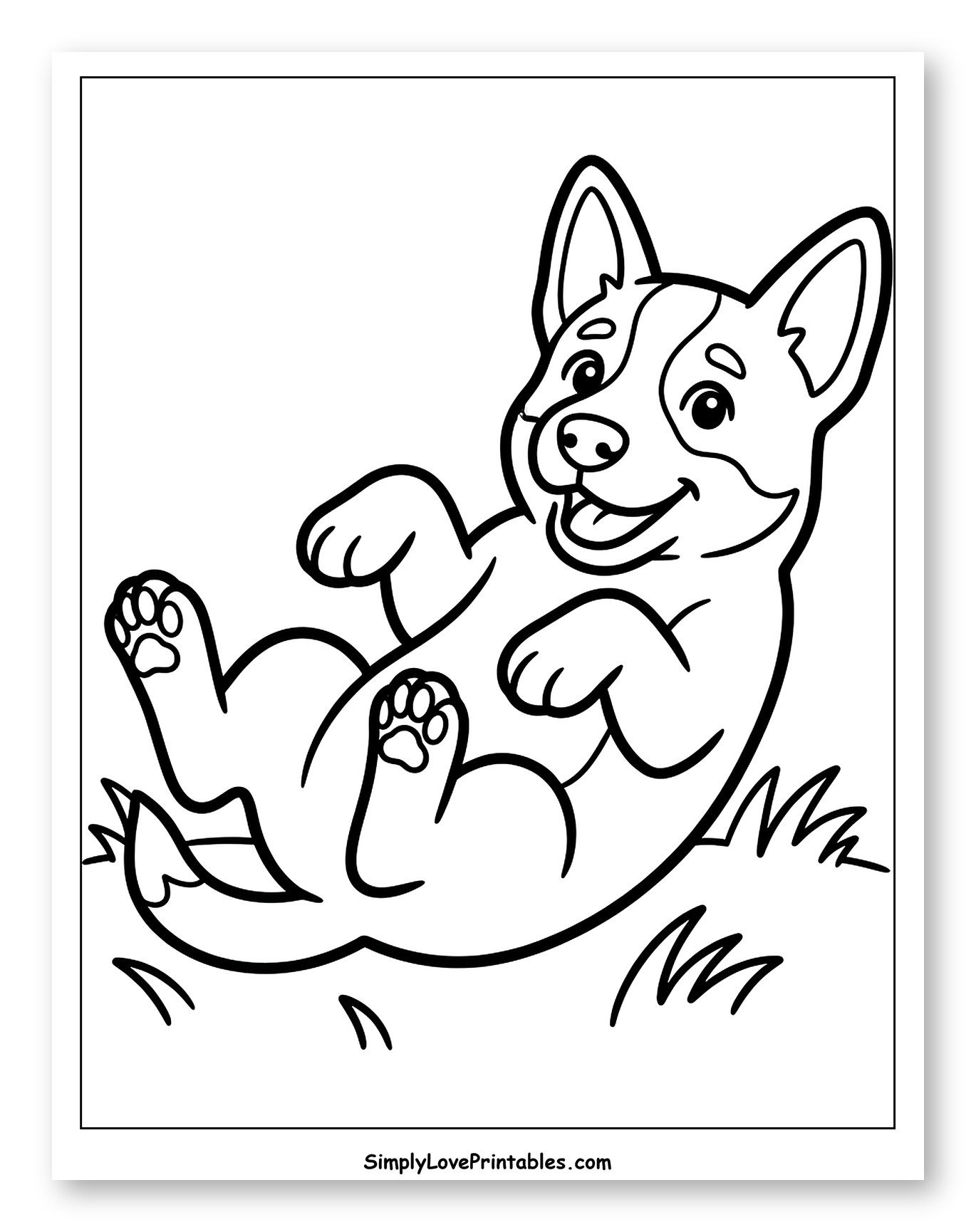 Happy Australian Cattle Dog Rolling on Back