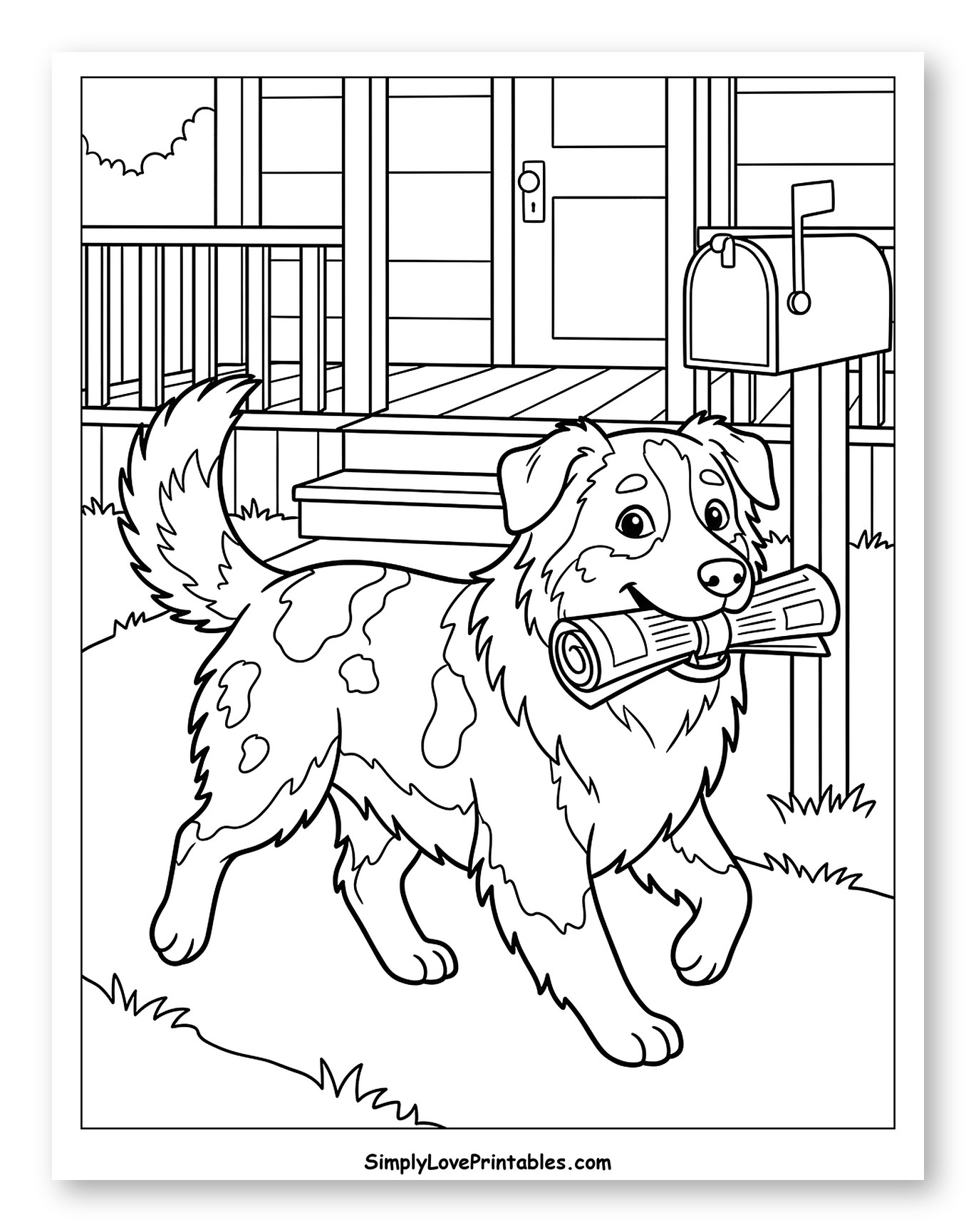 Happy Australian Shepherd Delivering Newspaper
